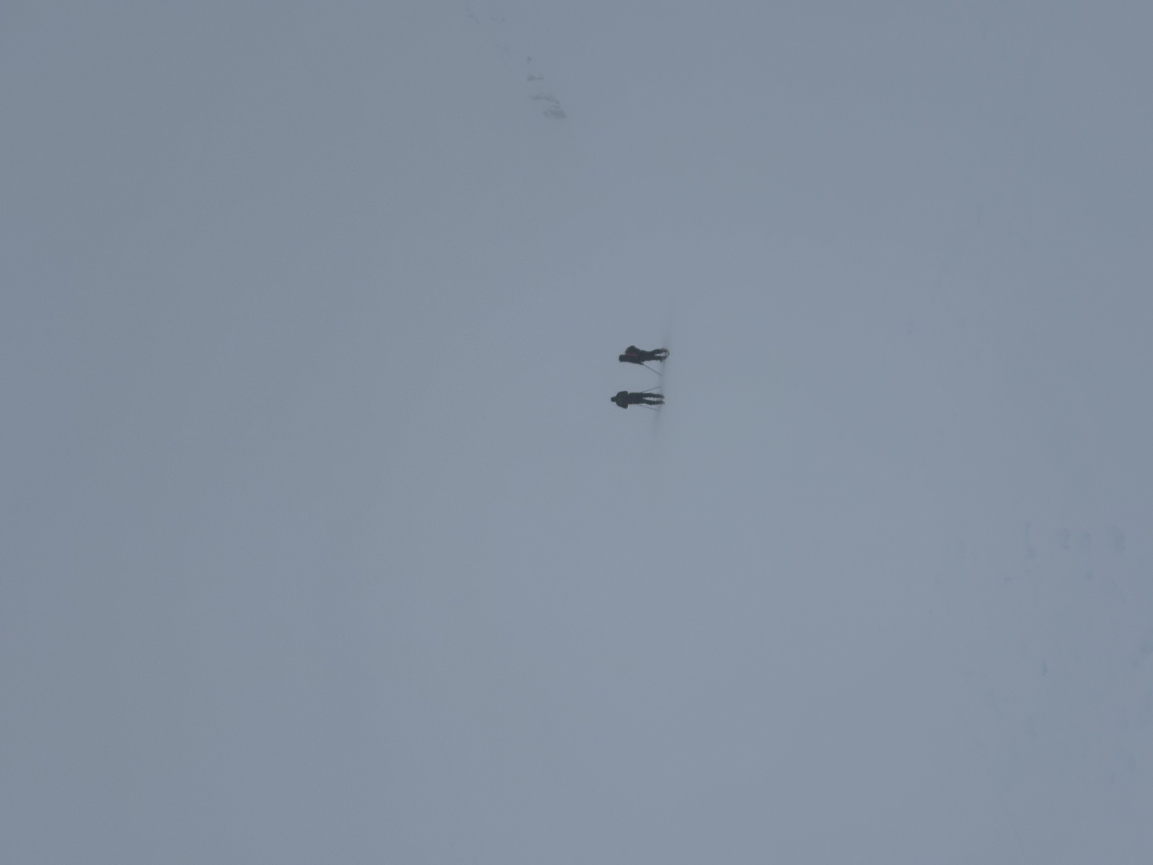 Observation photo