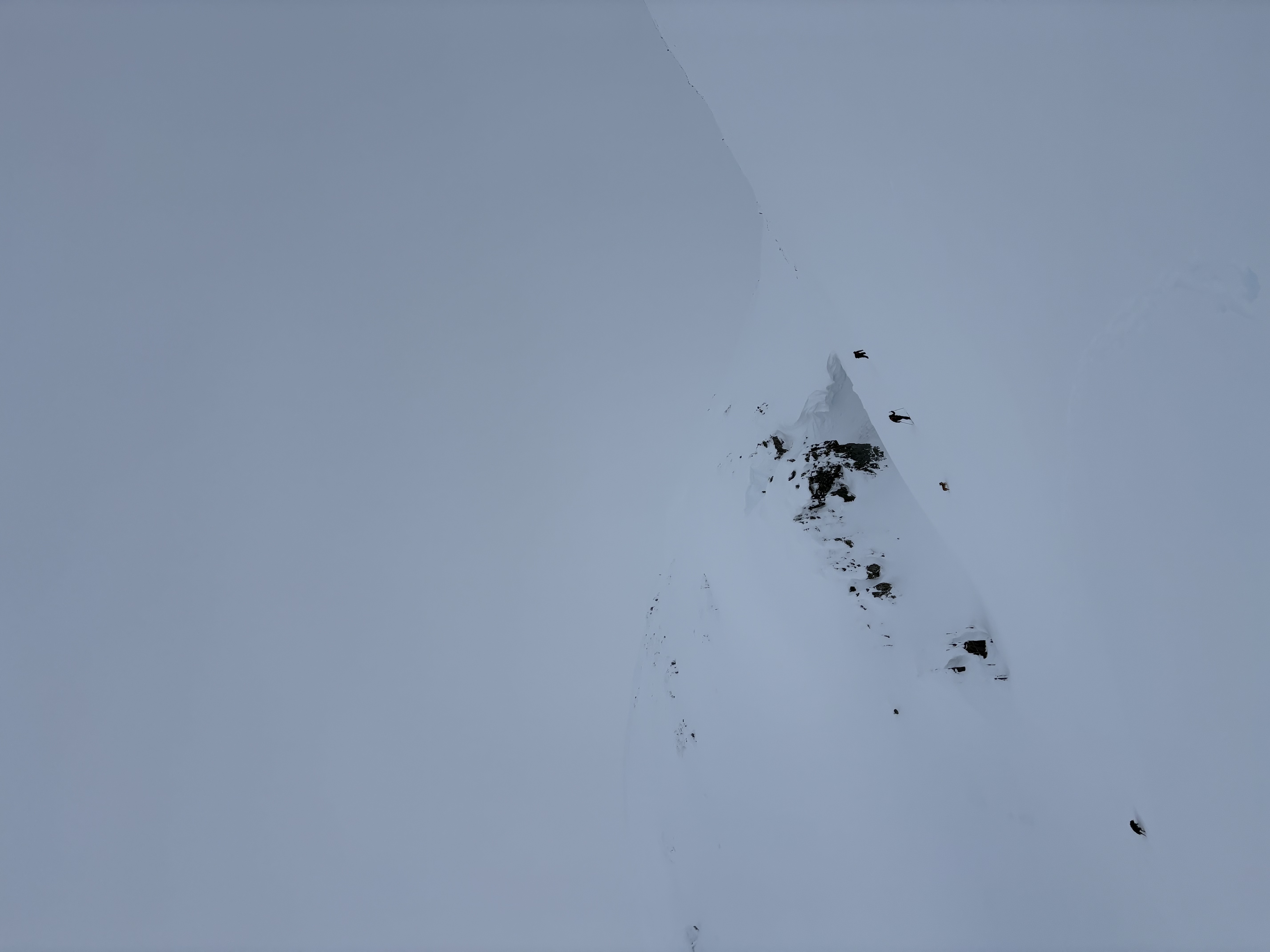 Observation photo