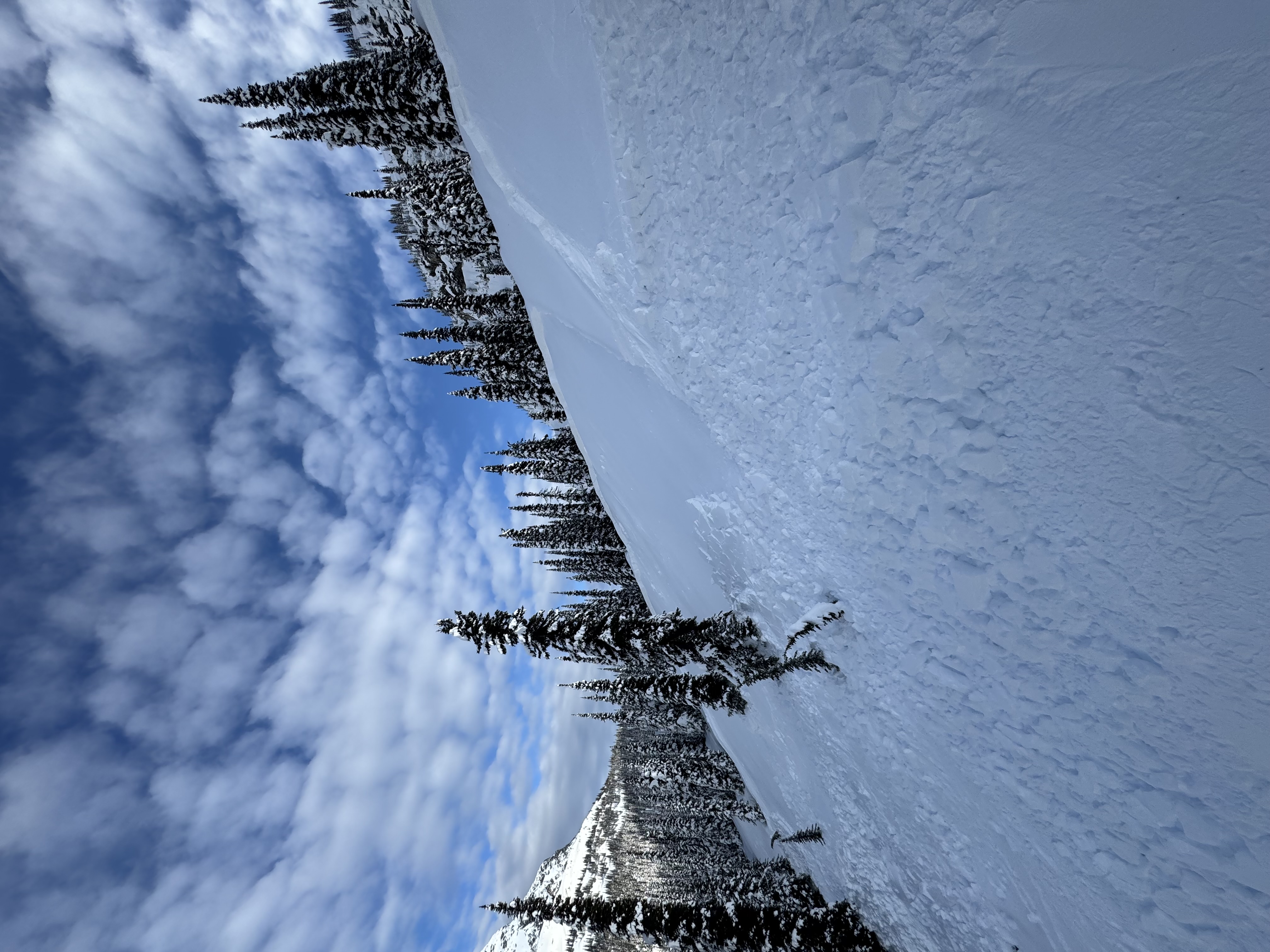 Observation photo