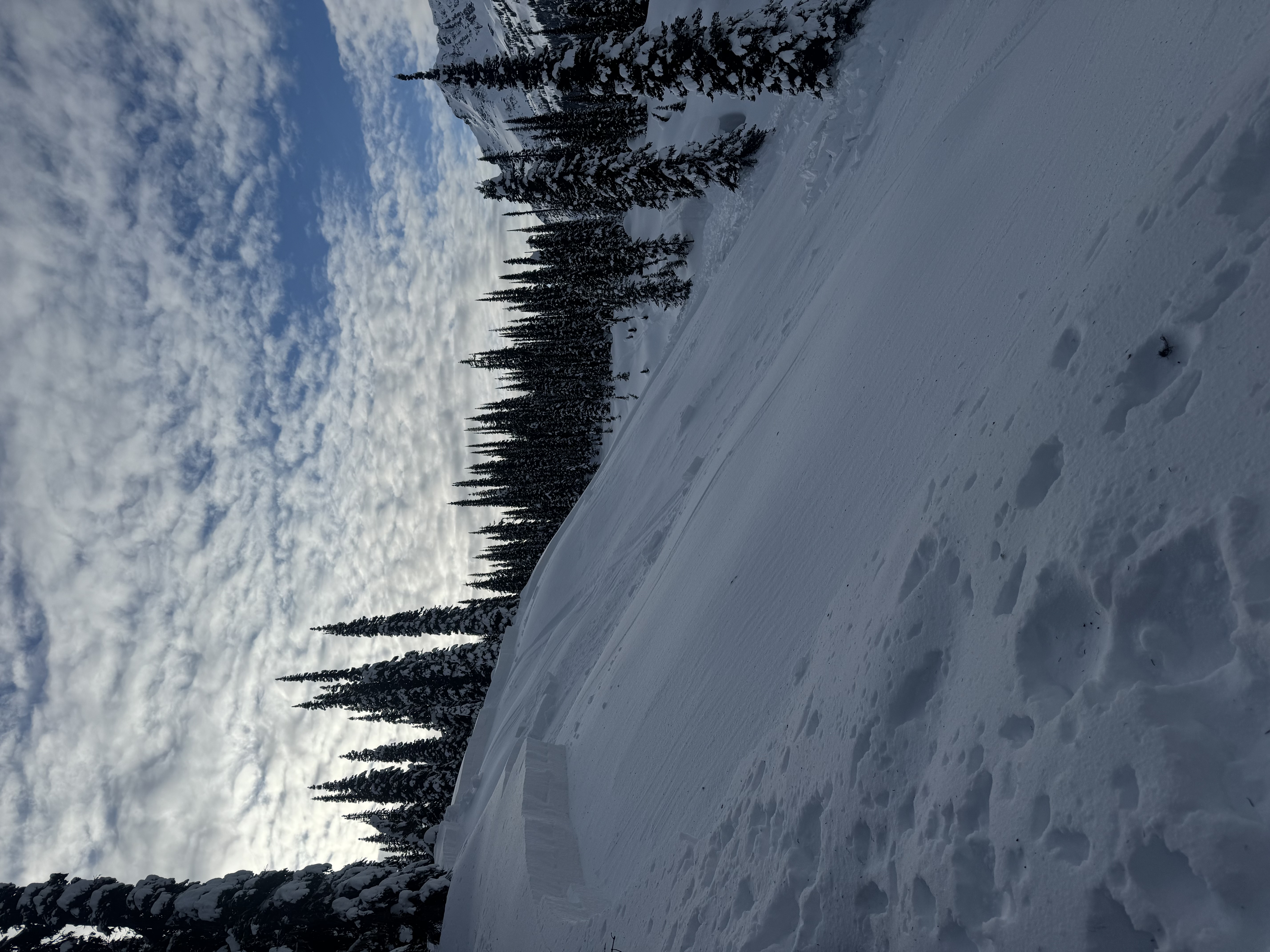 Observation photo