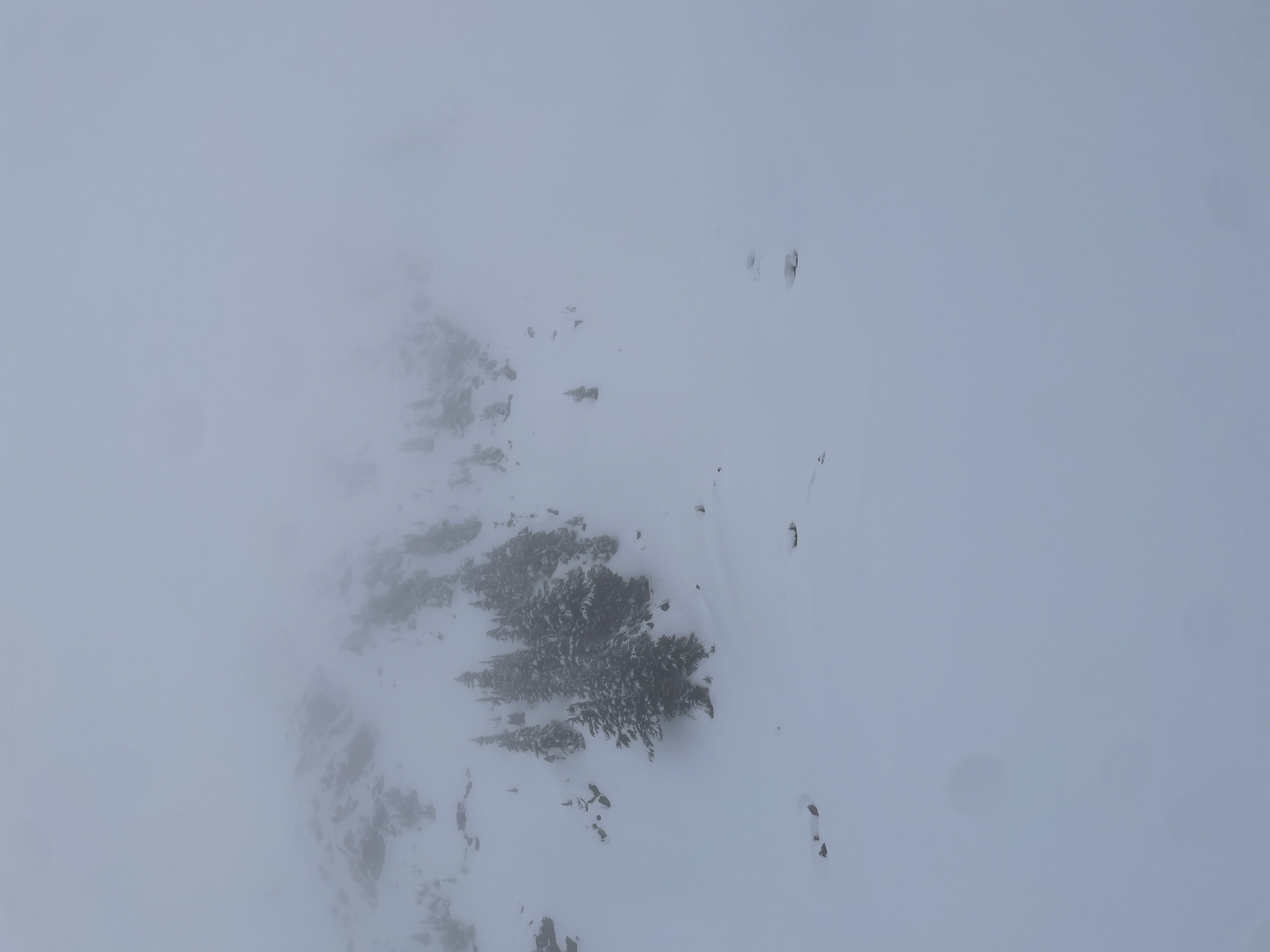 Observation photo