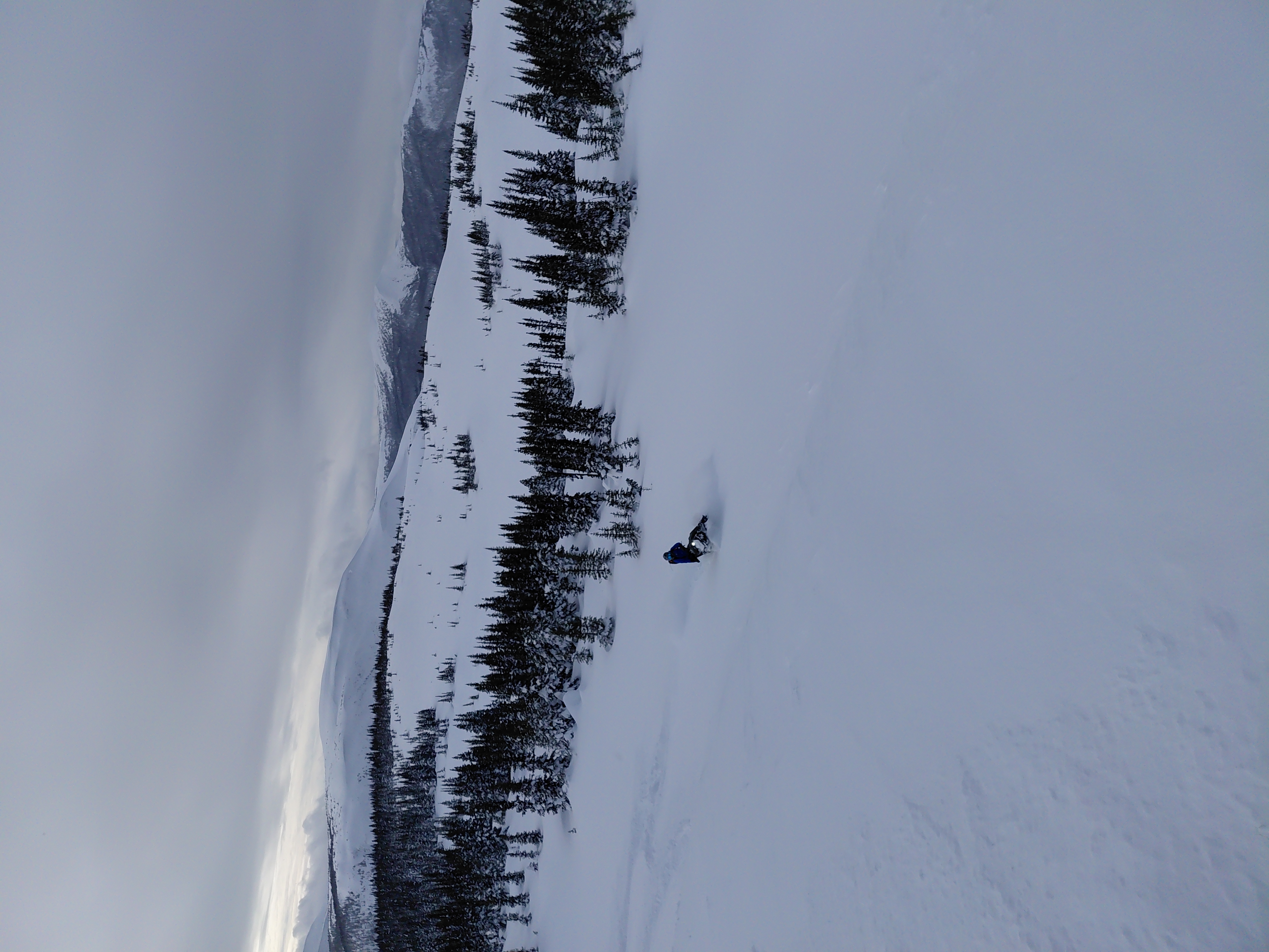 Observation photo