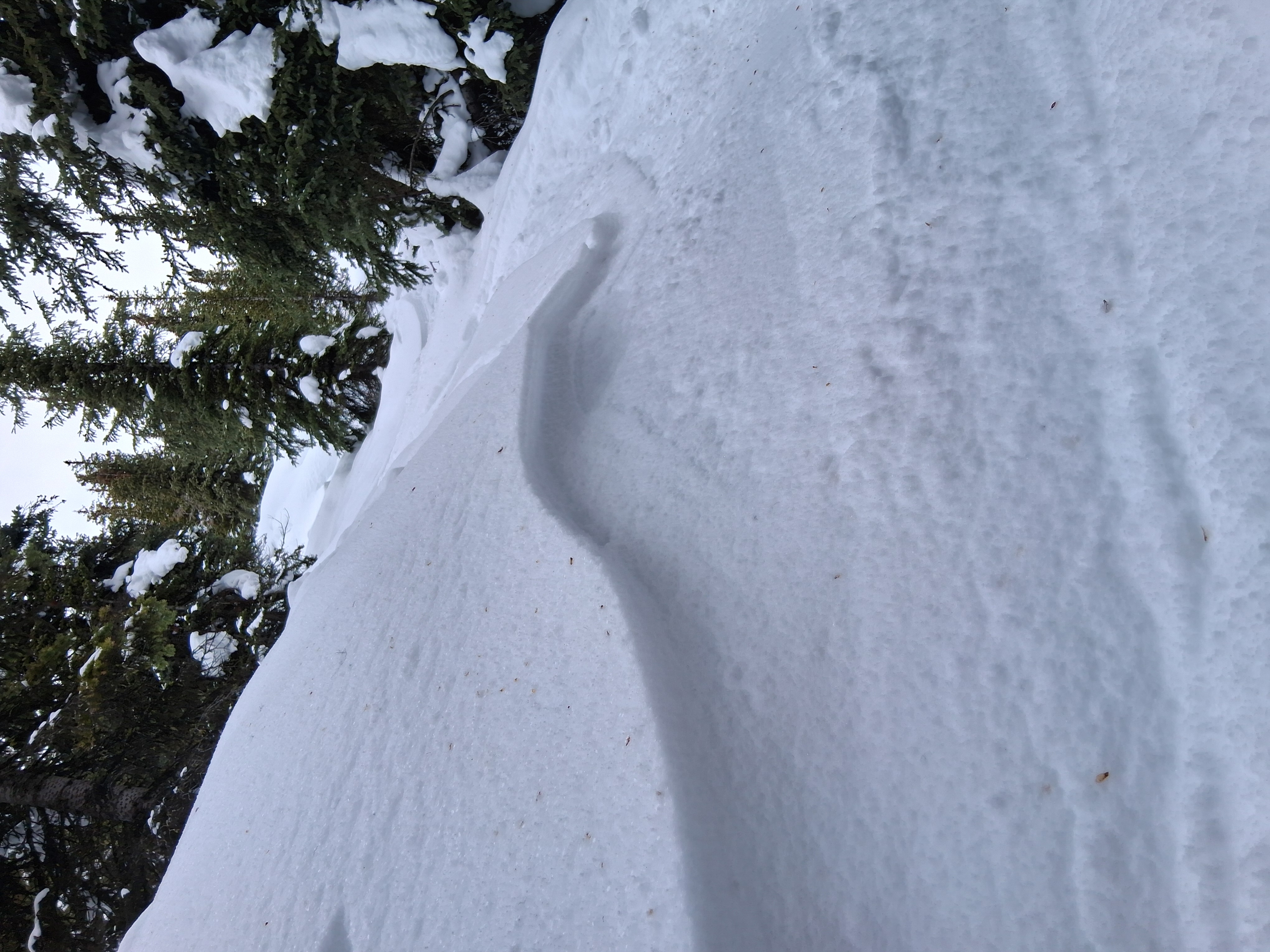 Observation photo