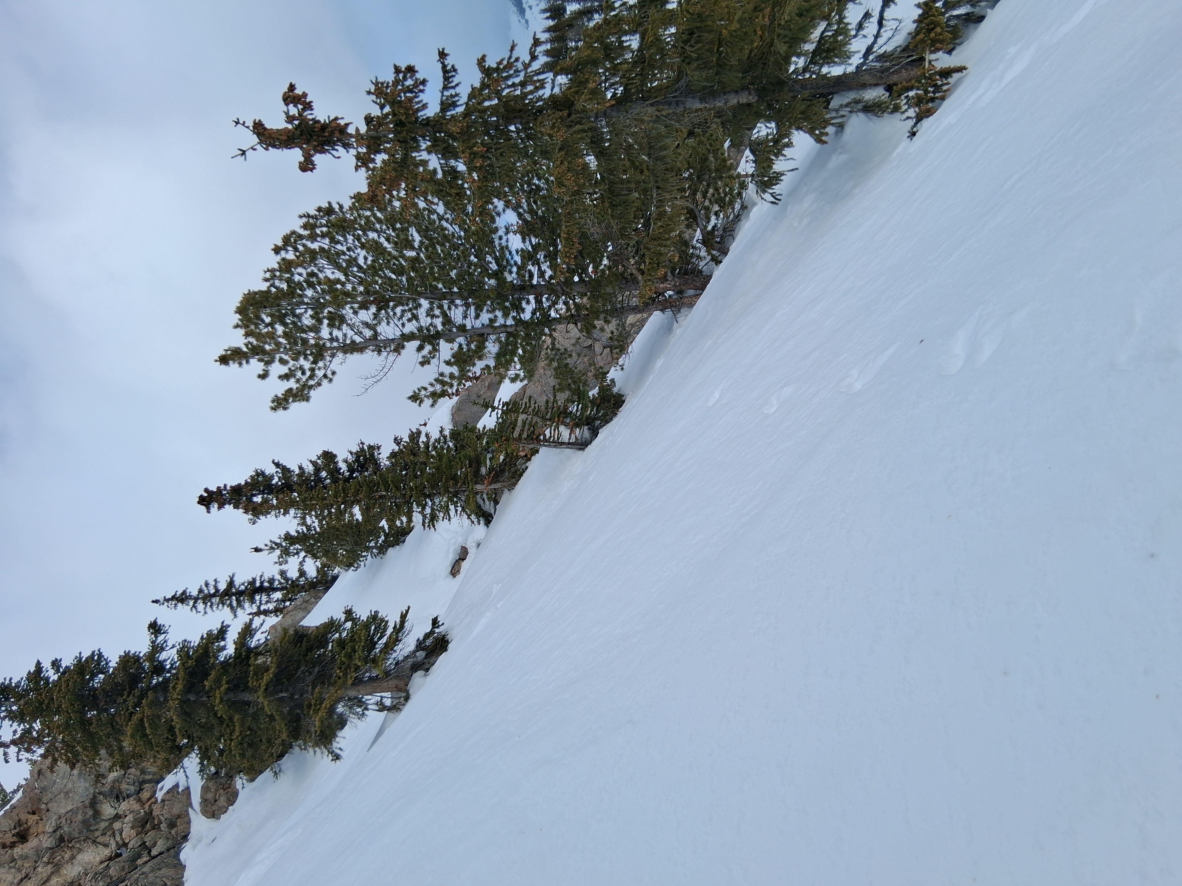 Observation photo
