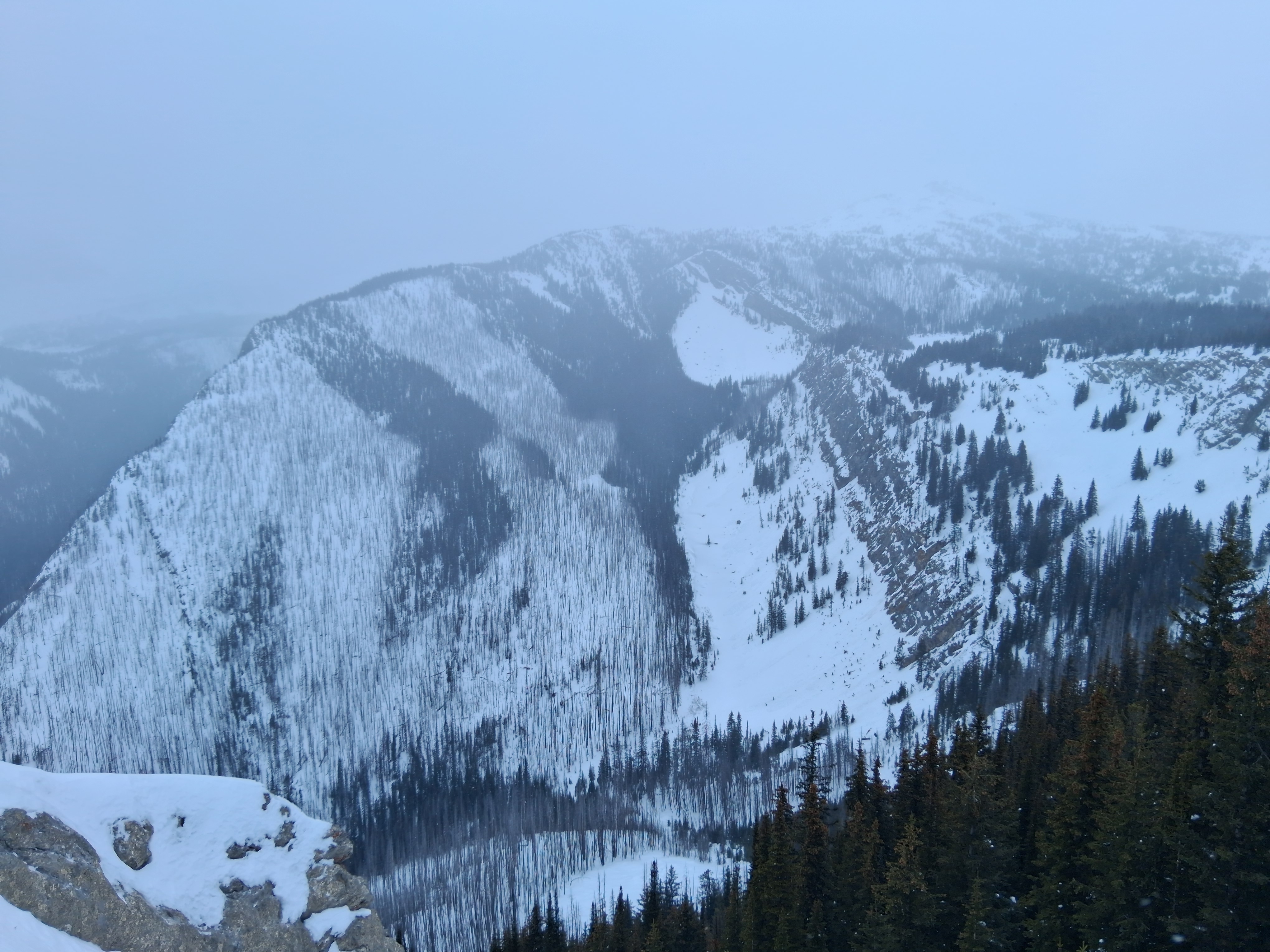 Observation photo