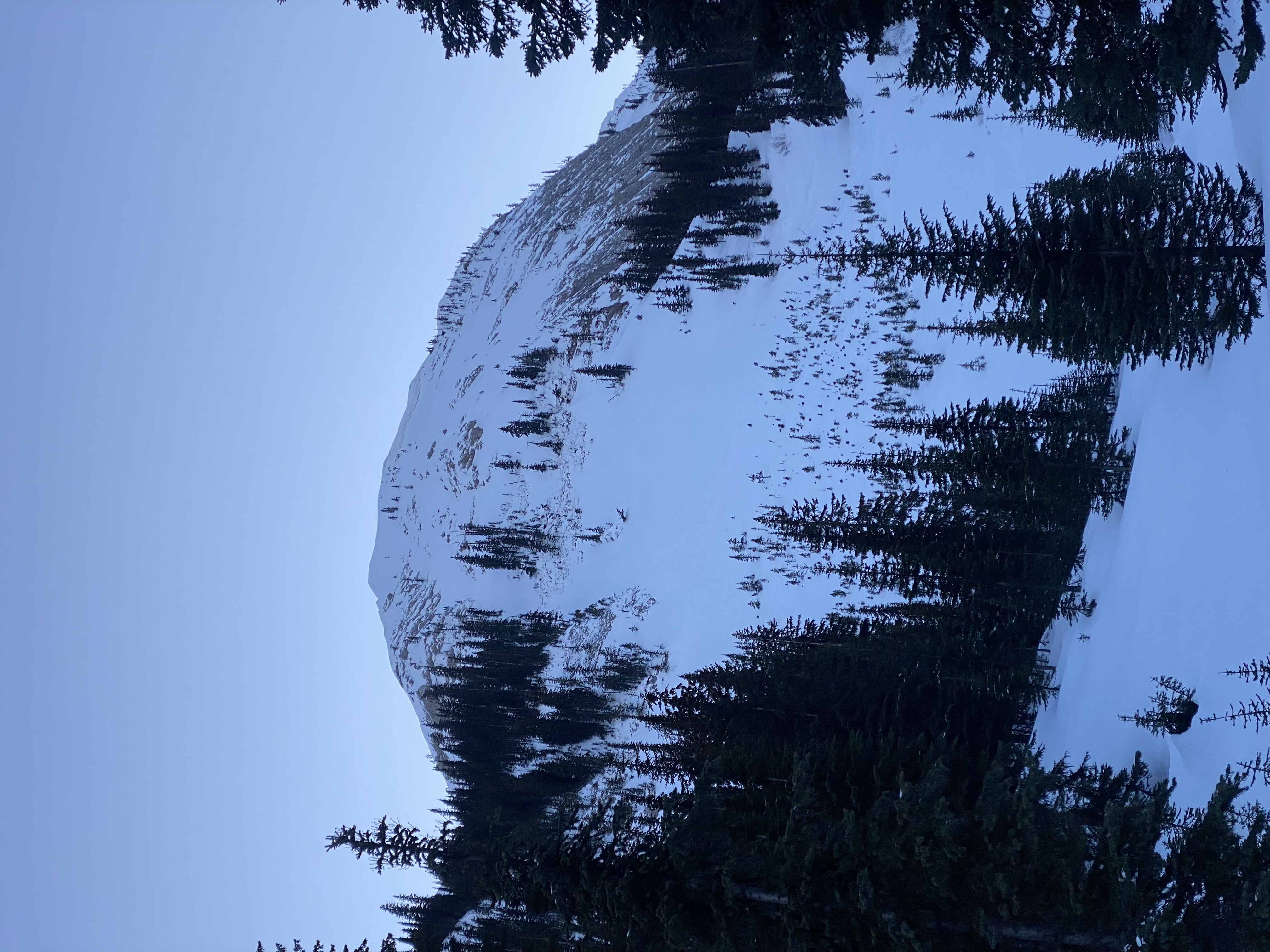 Observation photo