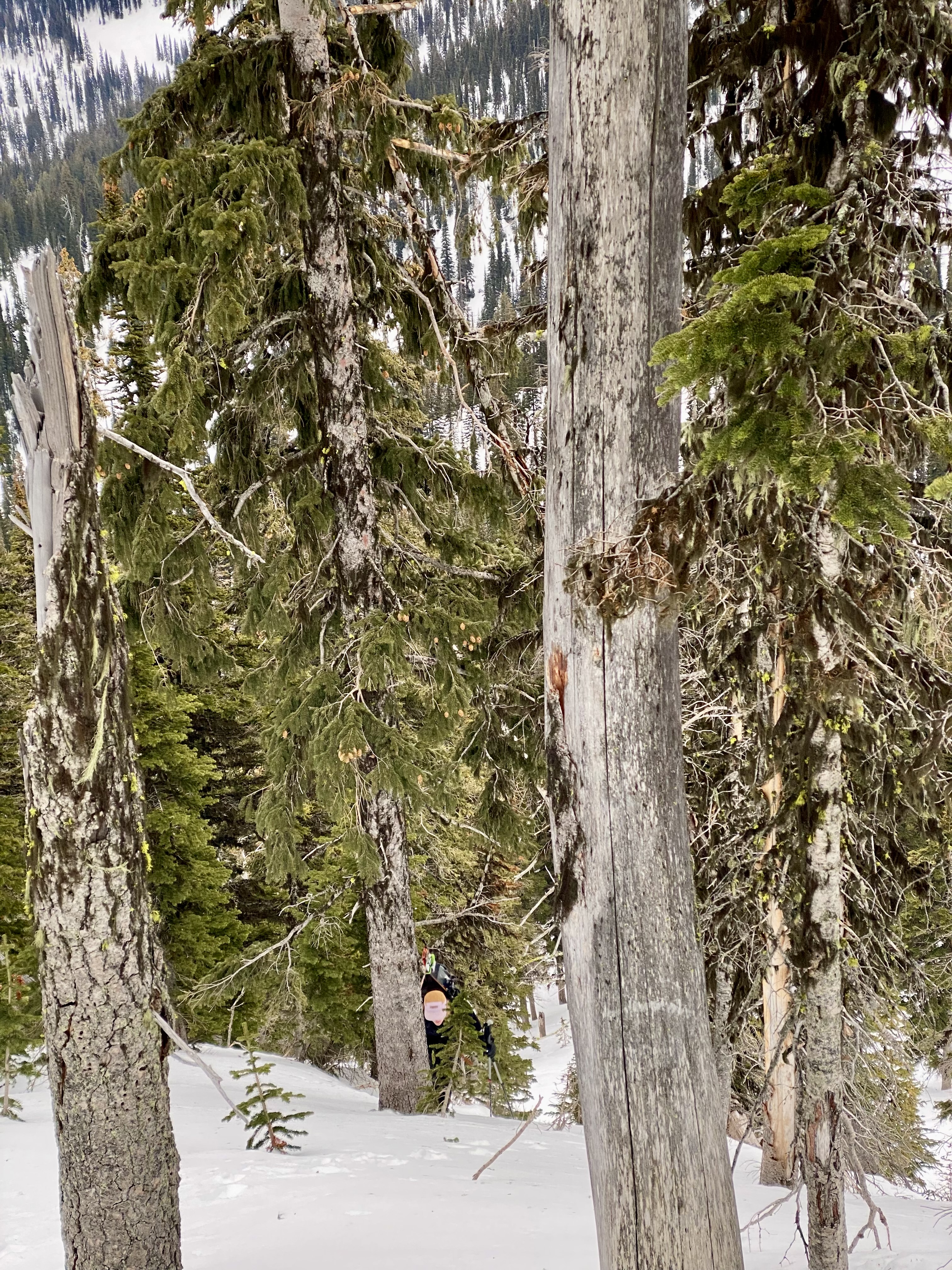 Observation photo