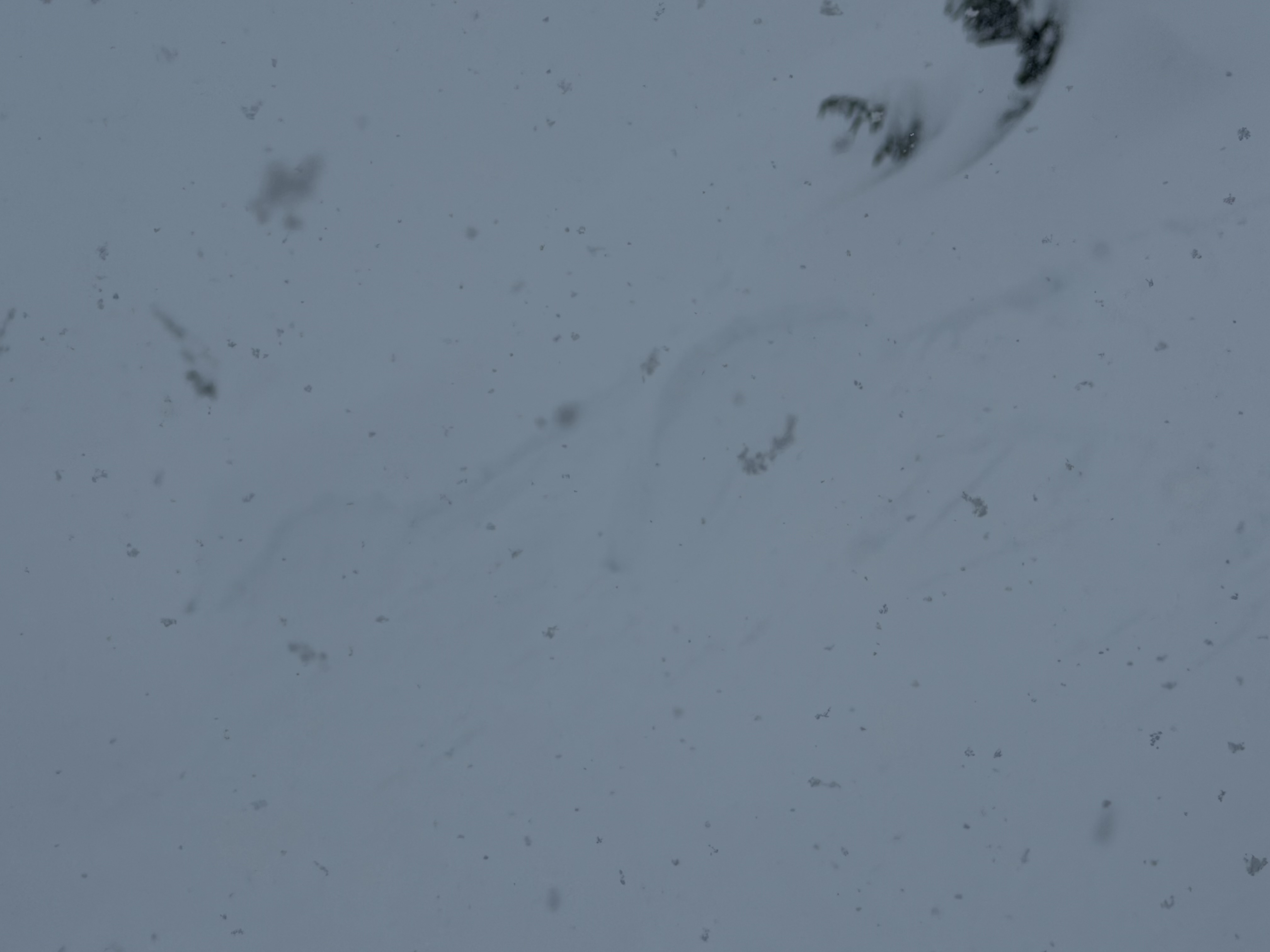 Observation photo