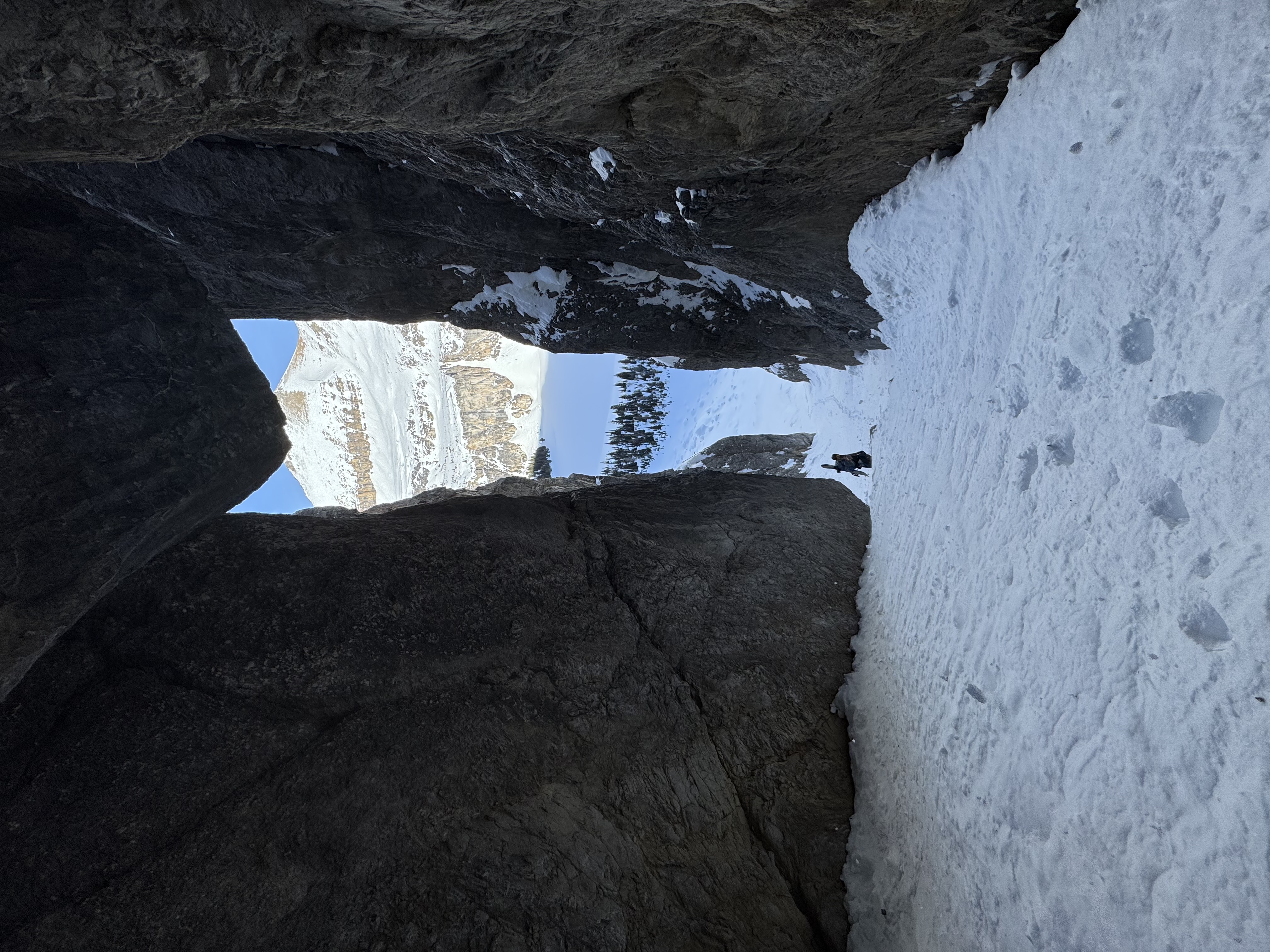 Observation photo