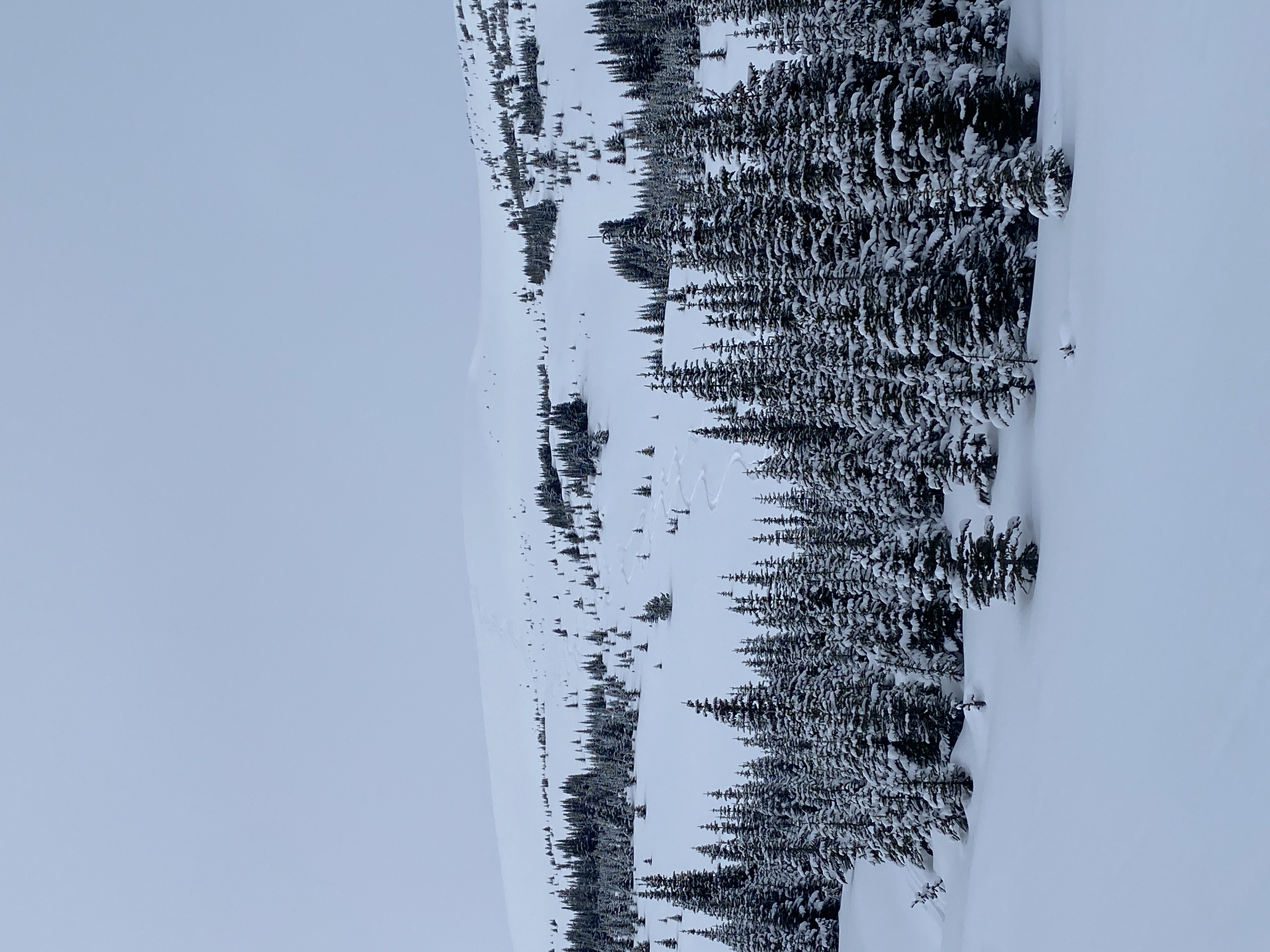 Observation photo