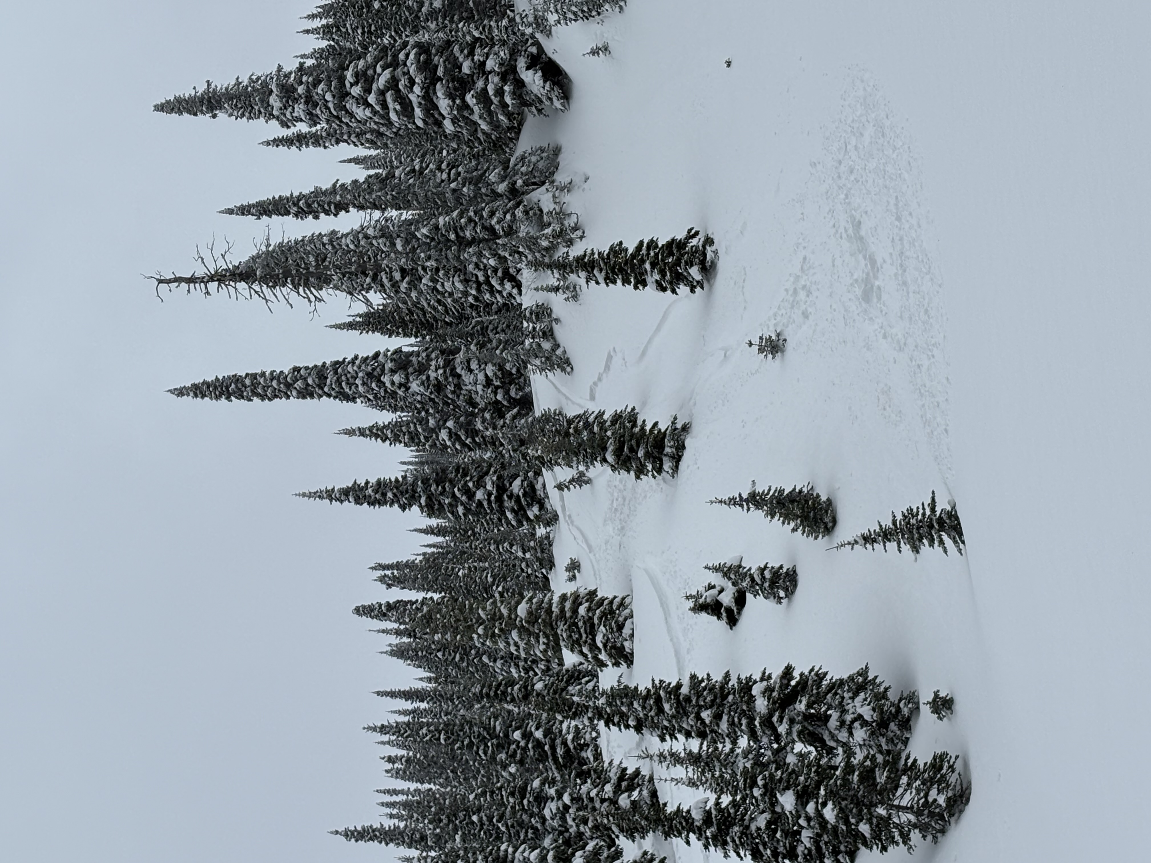 Observation photo