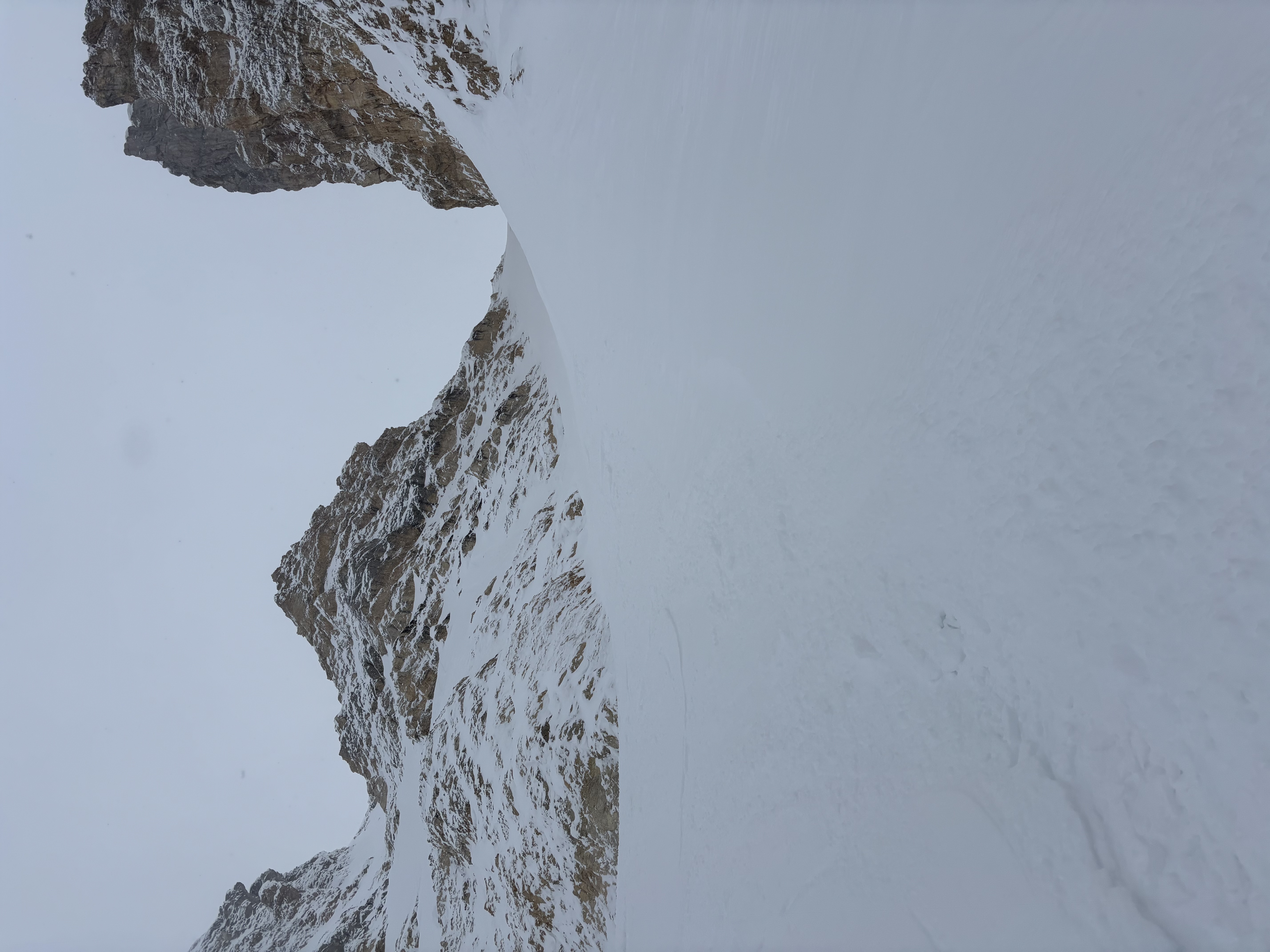 Observation photo
