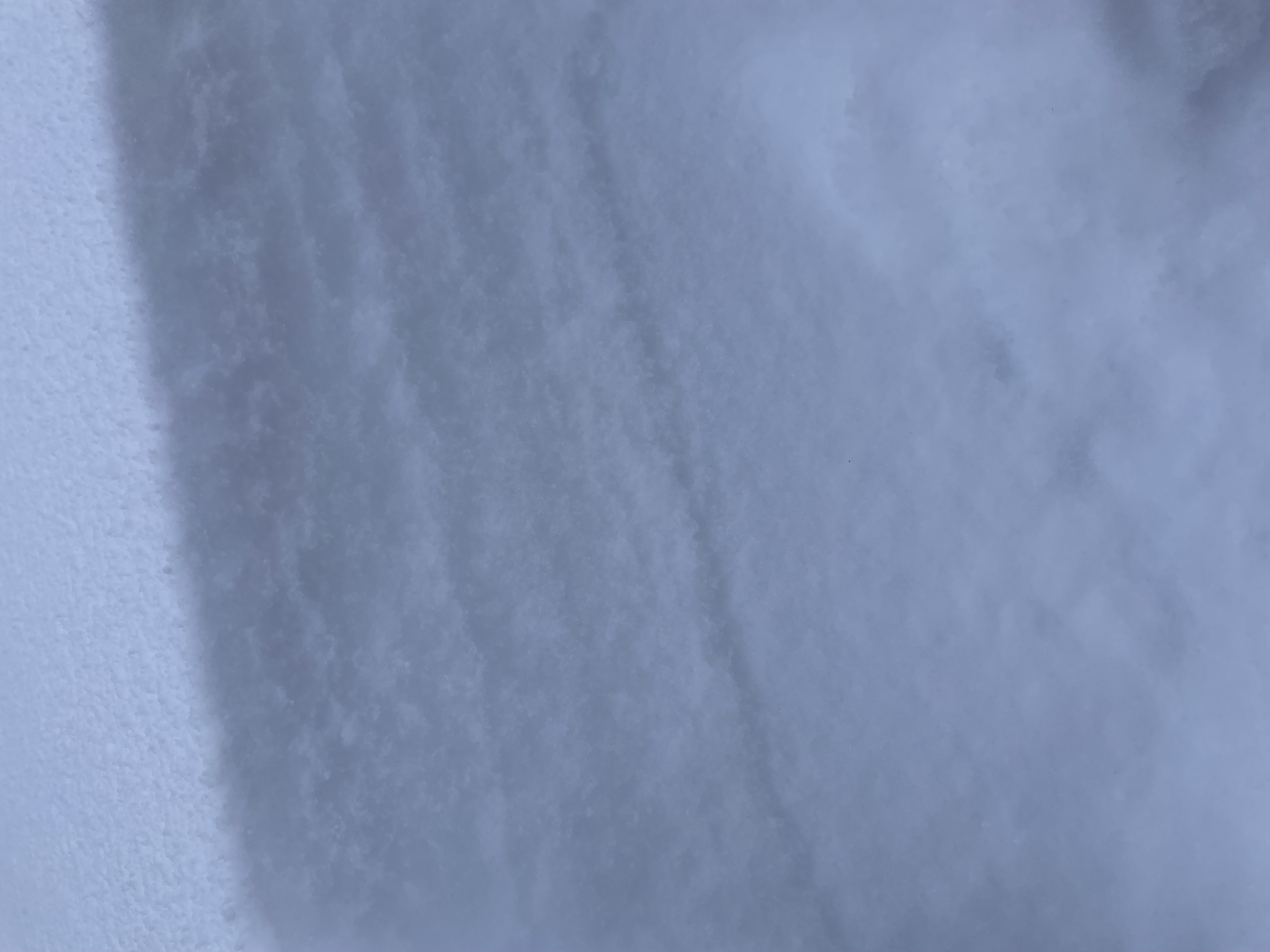 Observation photo