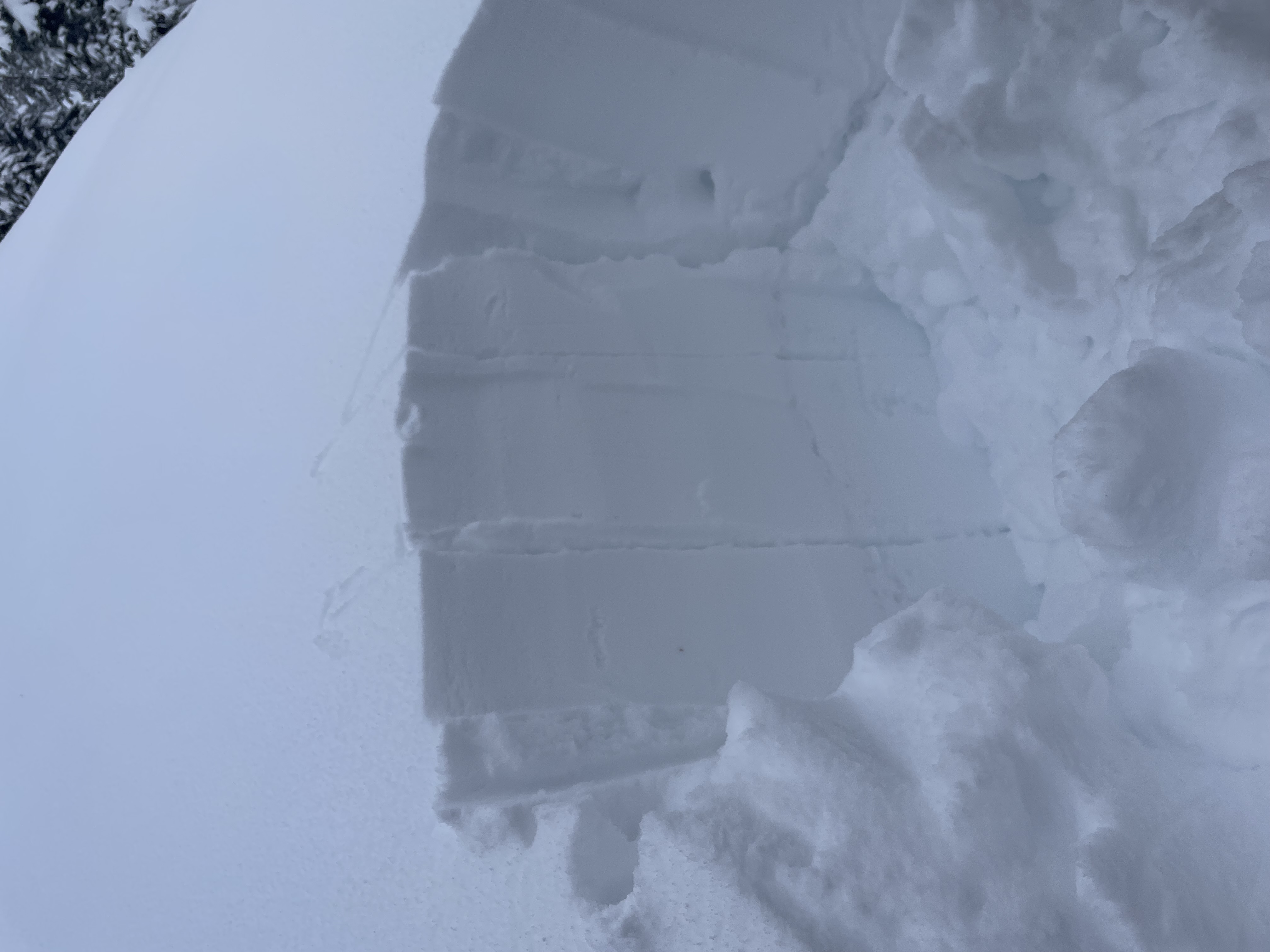 Observation photo
