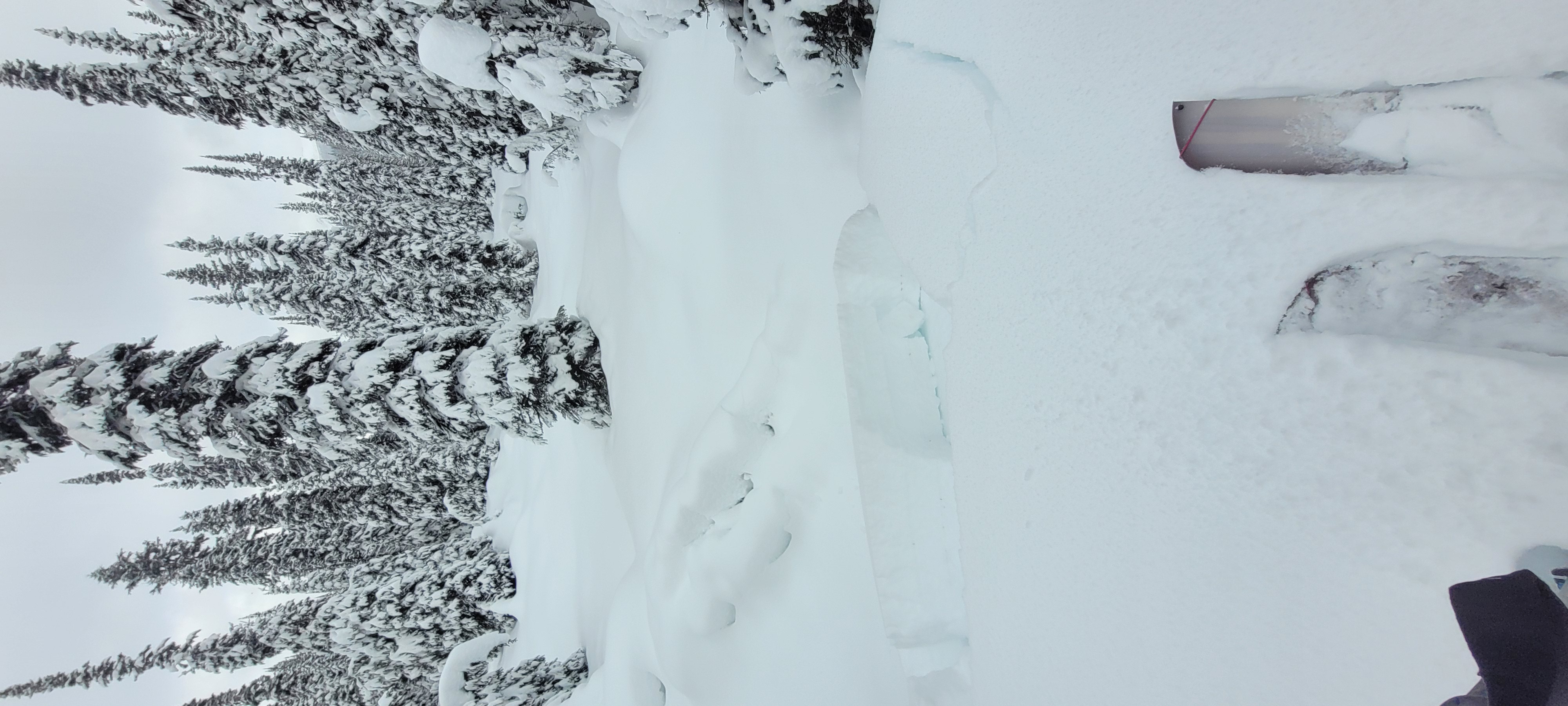 Observation photo