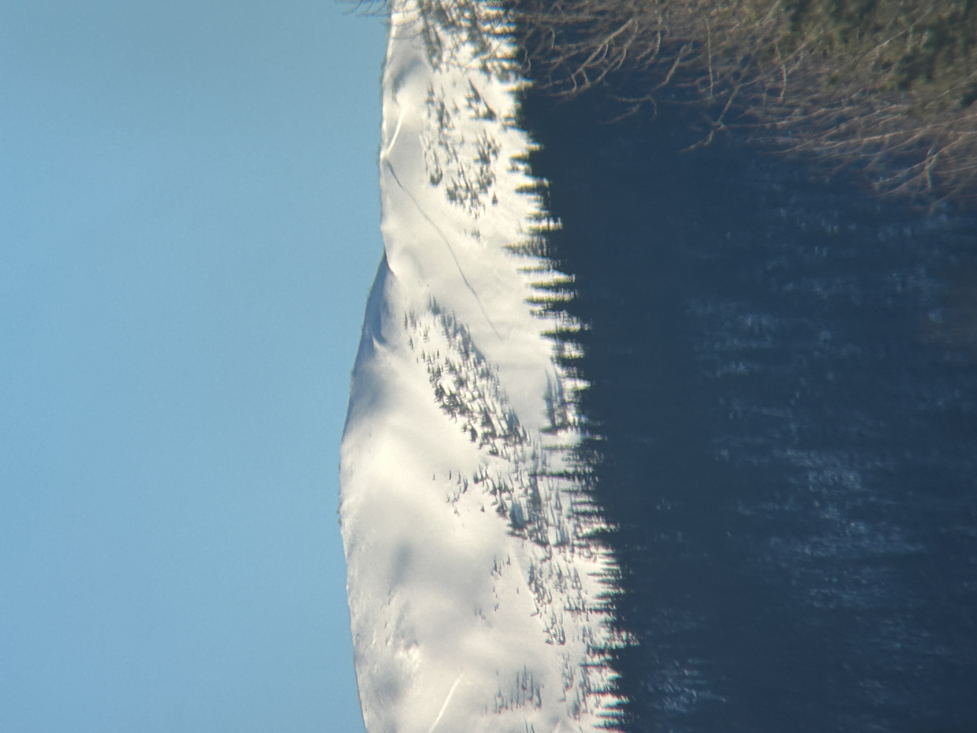Observation photo