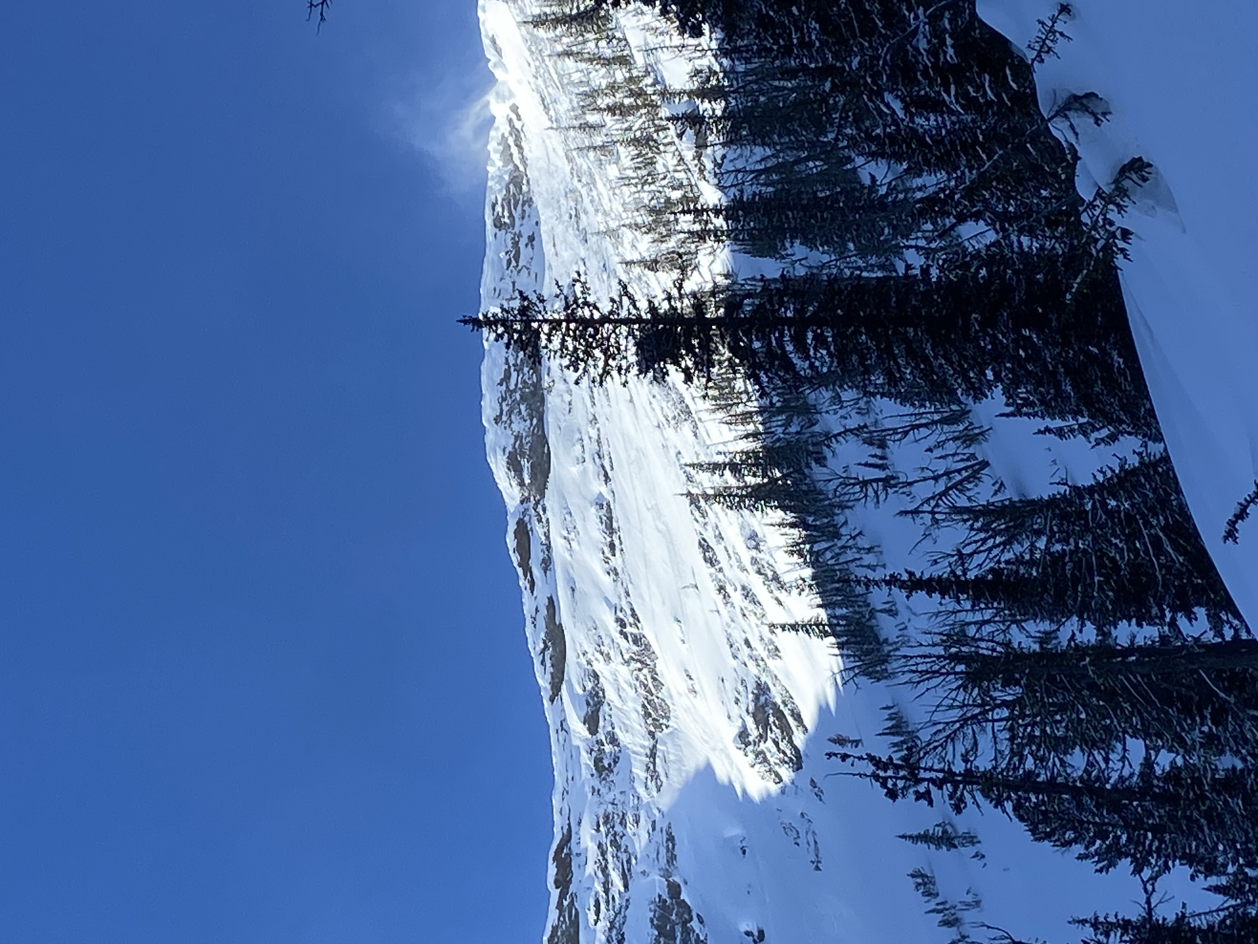 Observation photo