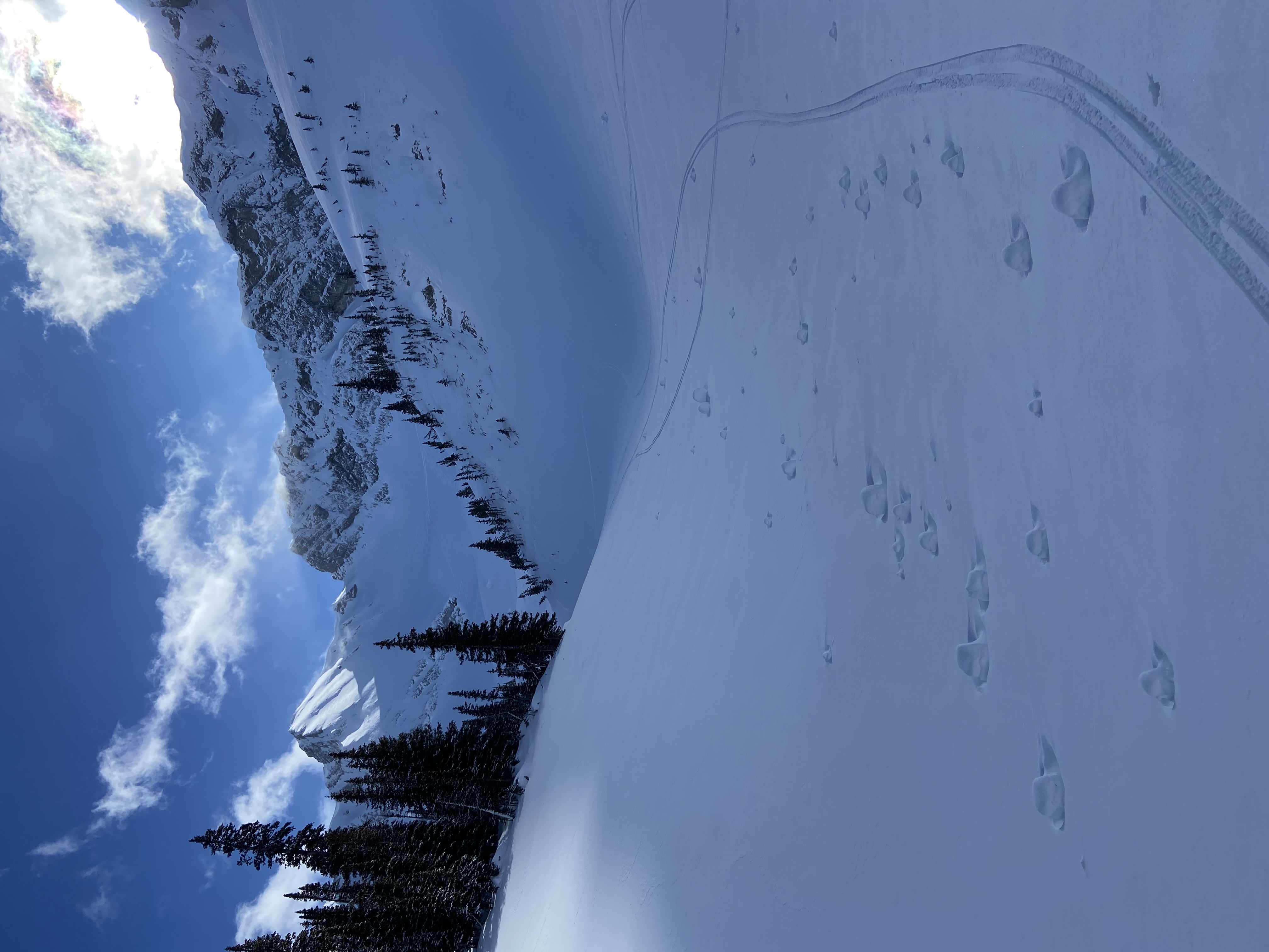 Observation photo