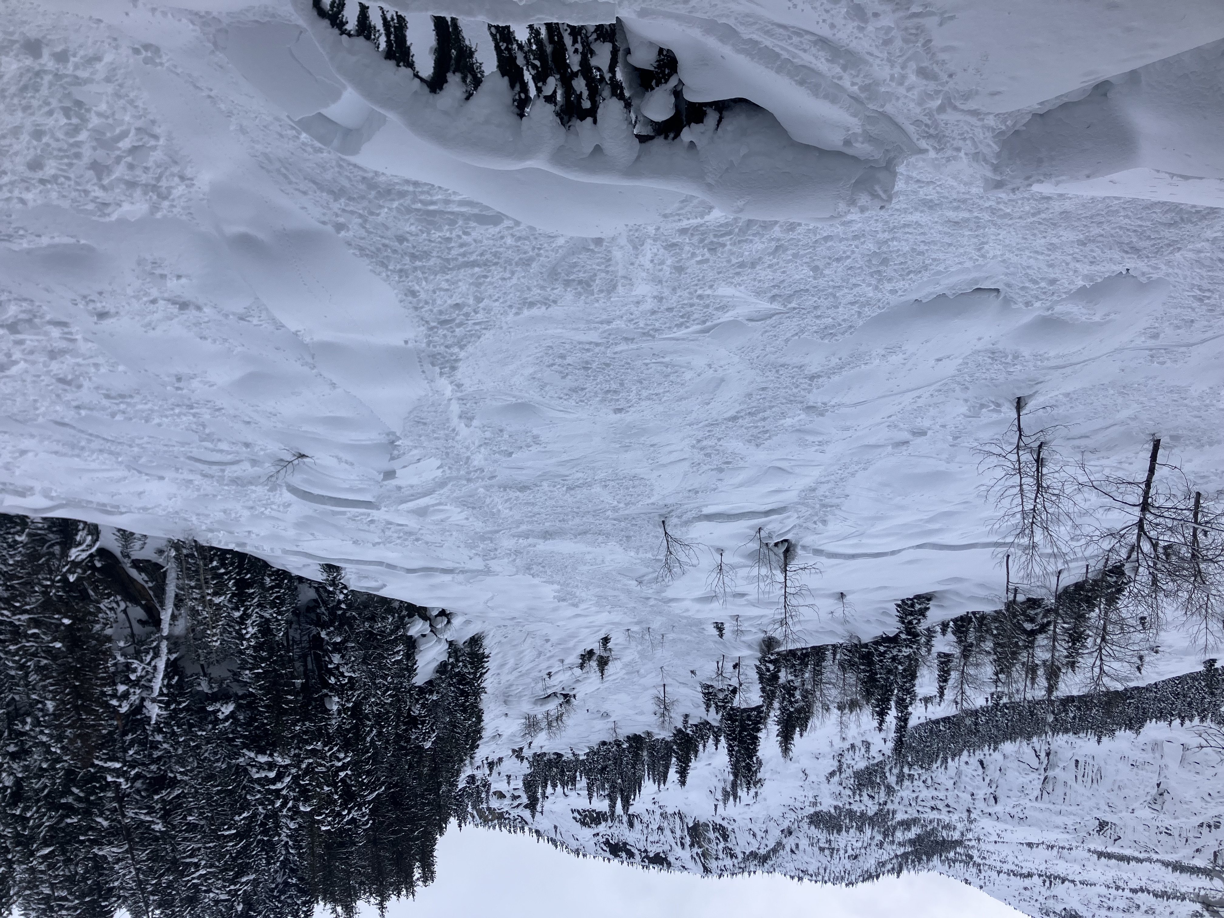 Observation photo