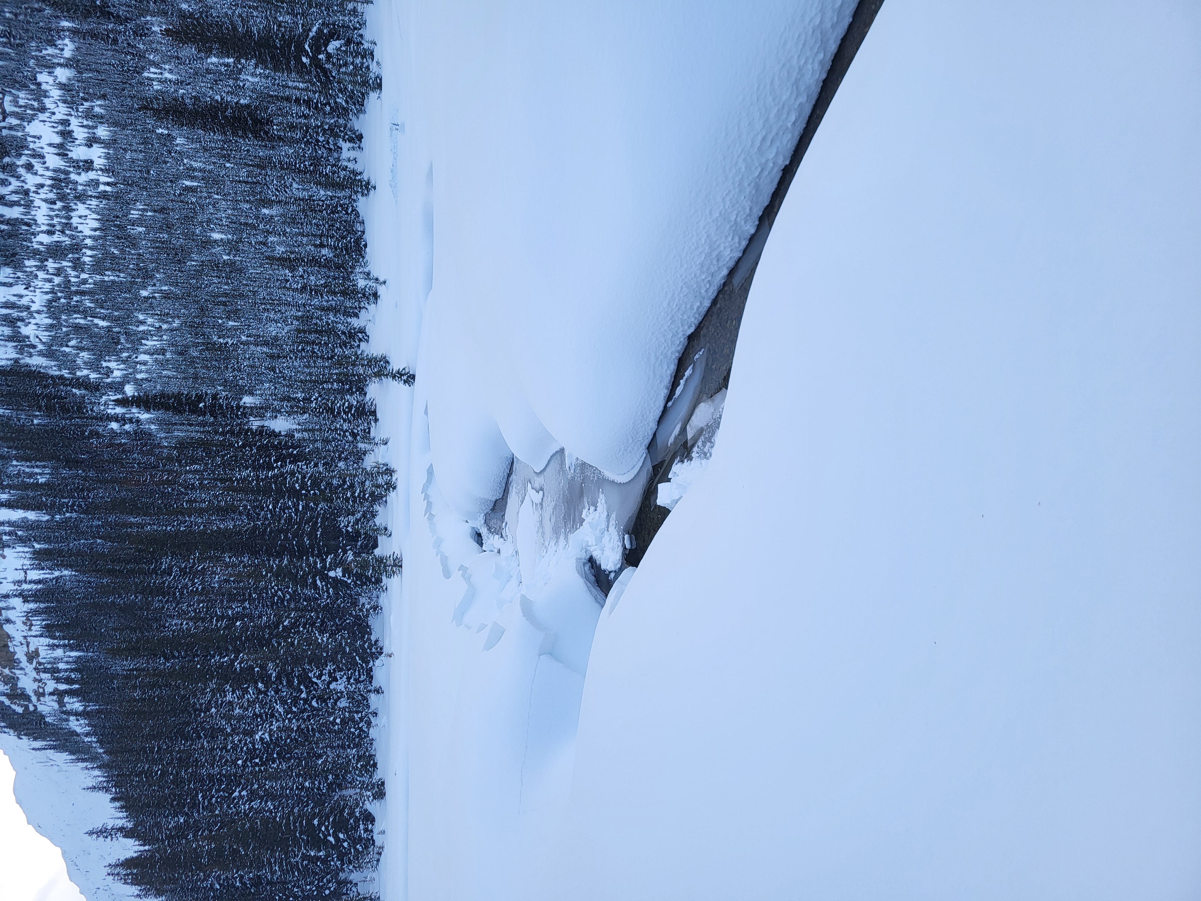 Observation photo