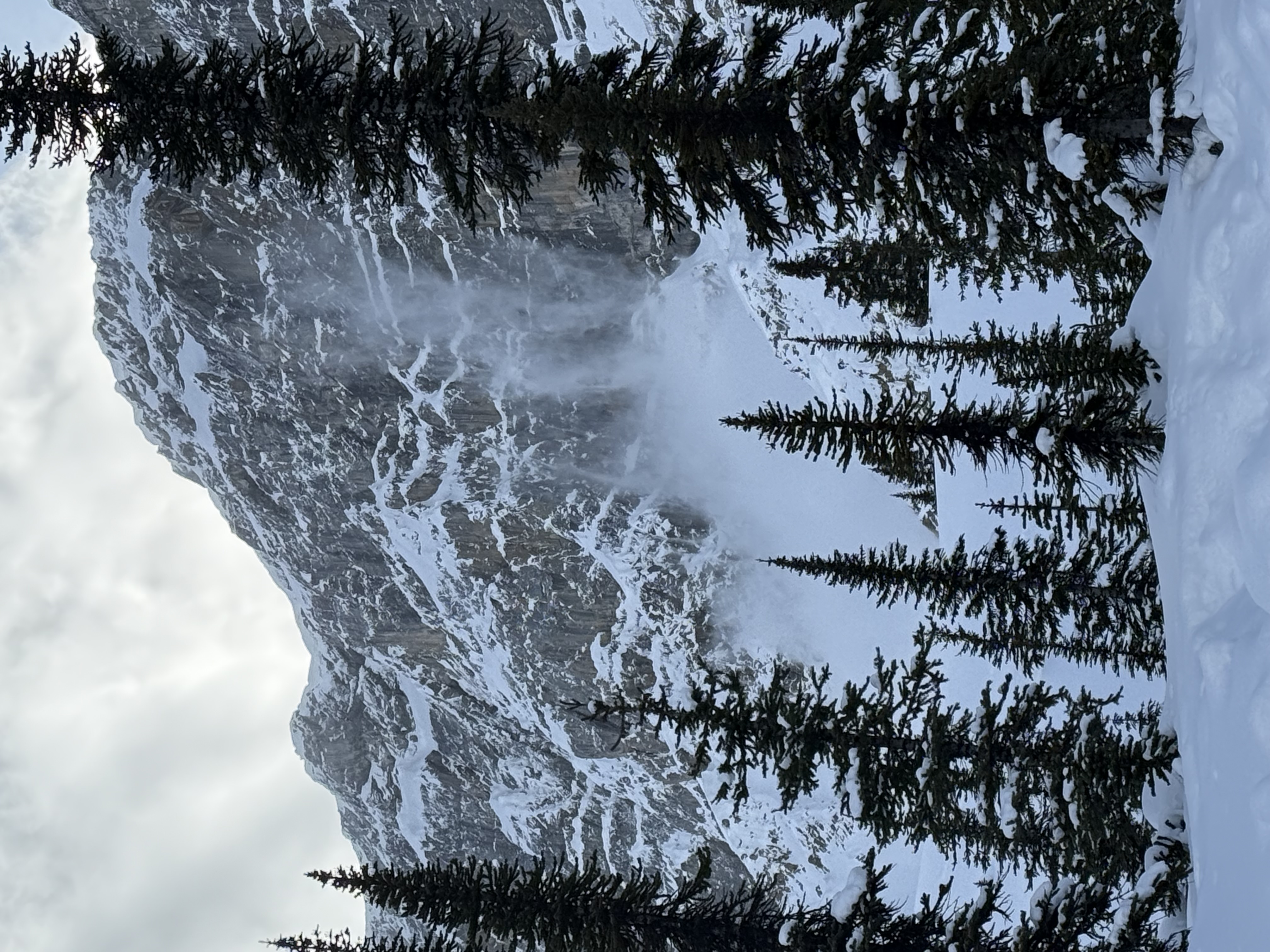 Observation photo