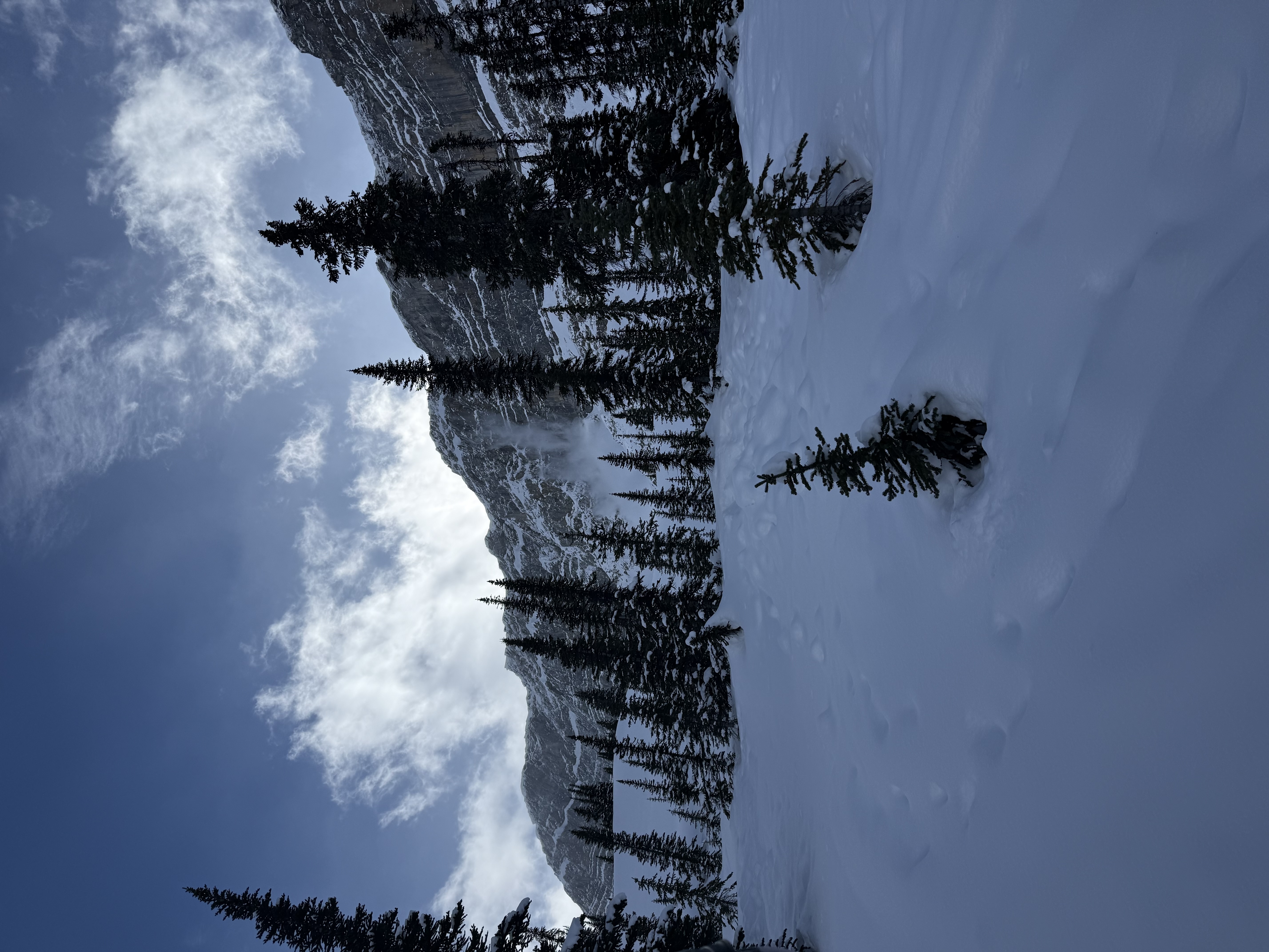 Observation photo