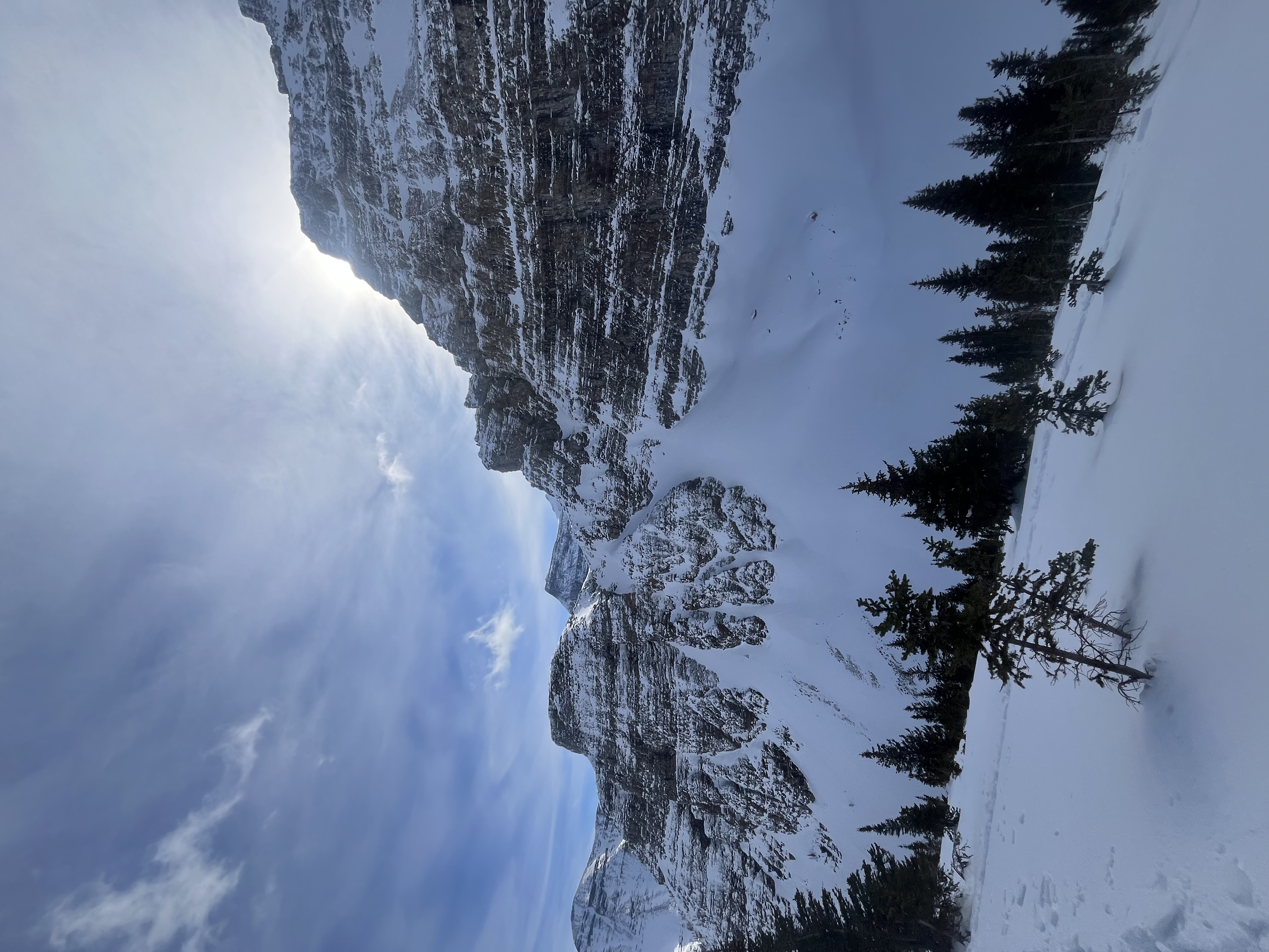 Observation photo