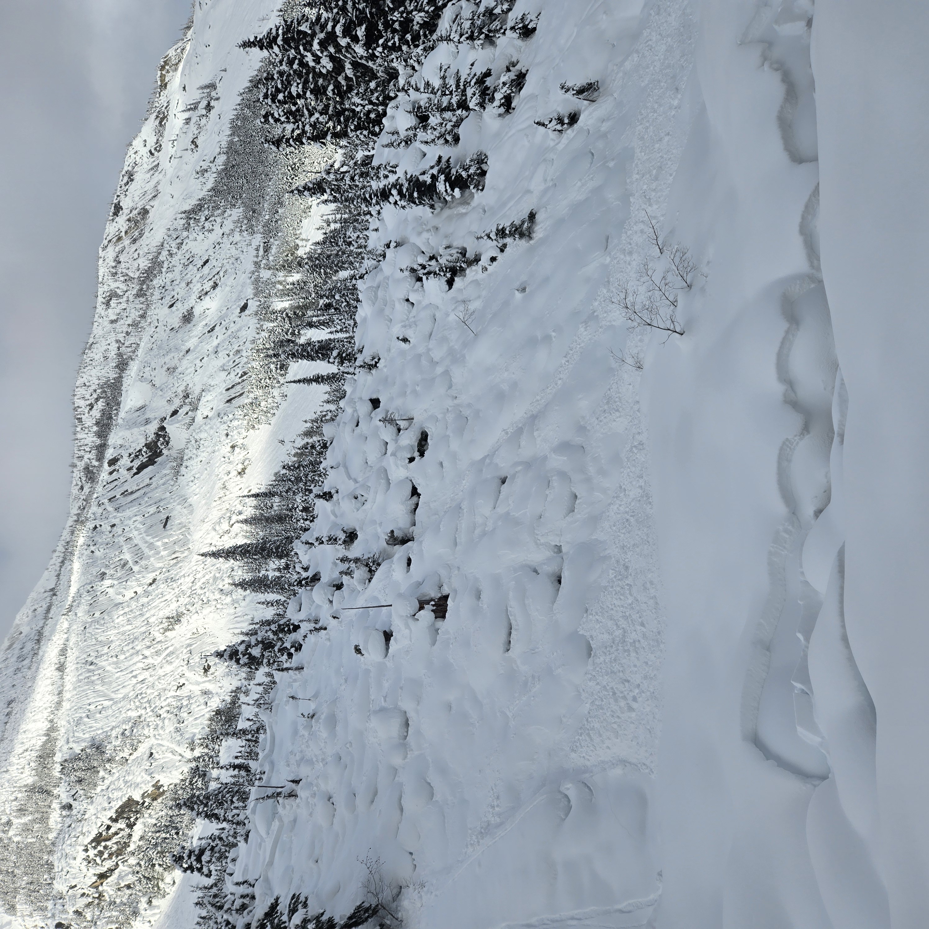 Observation photo