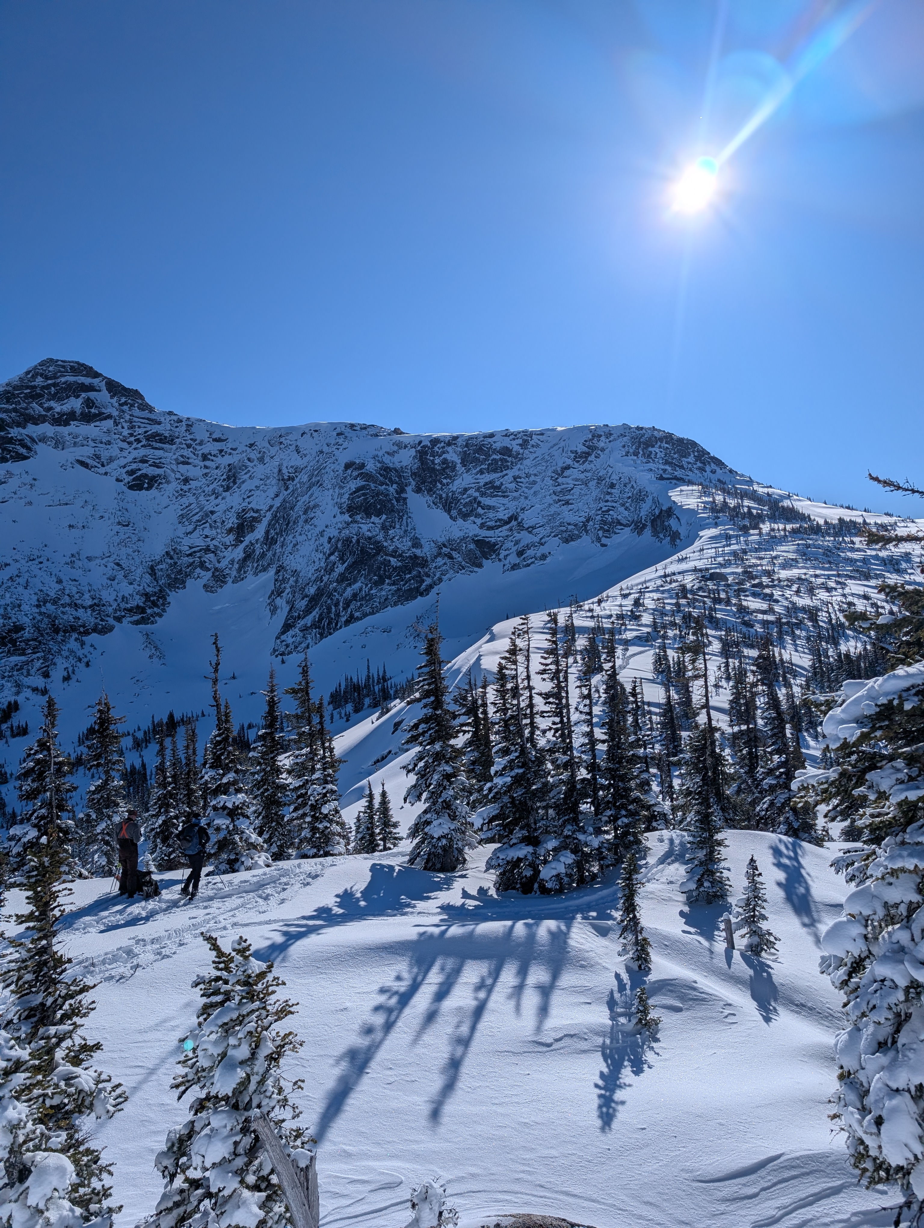 Observation photo