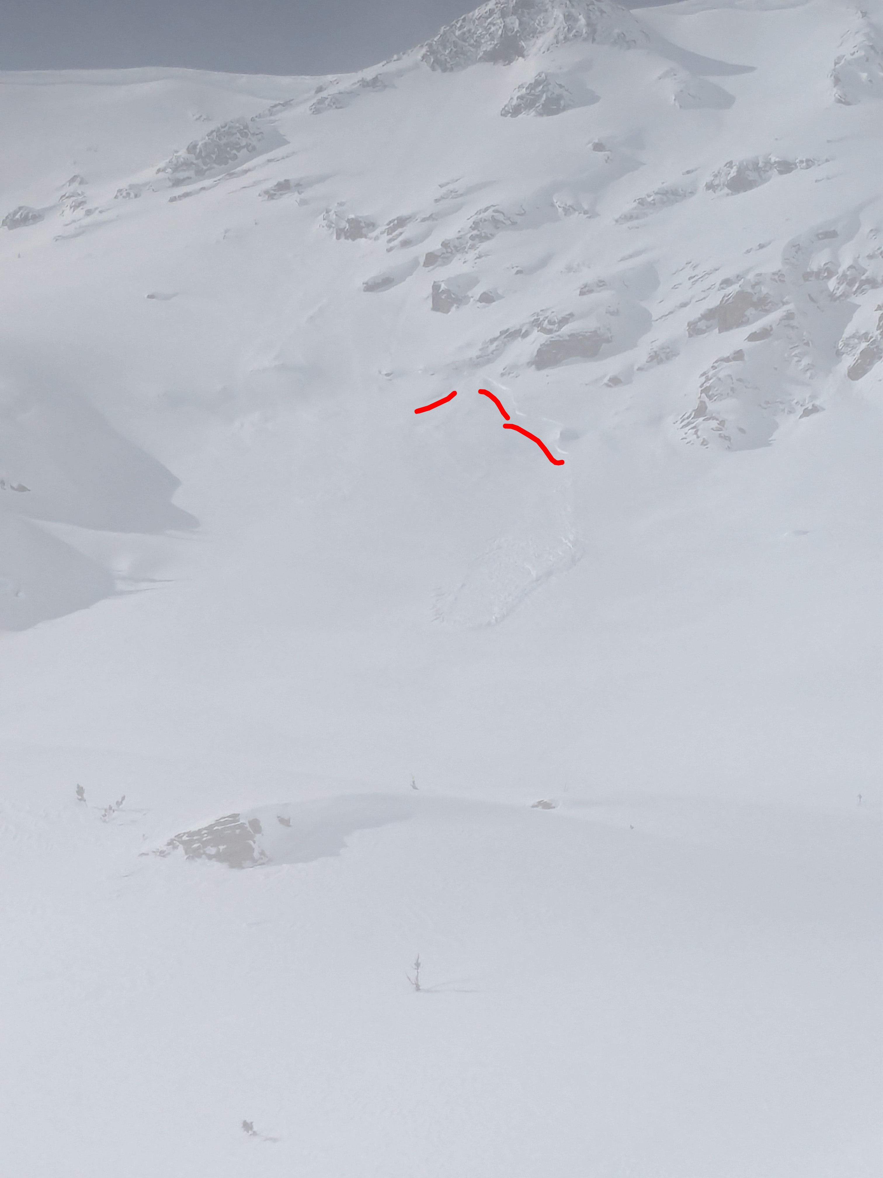 Observation photo