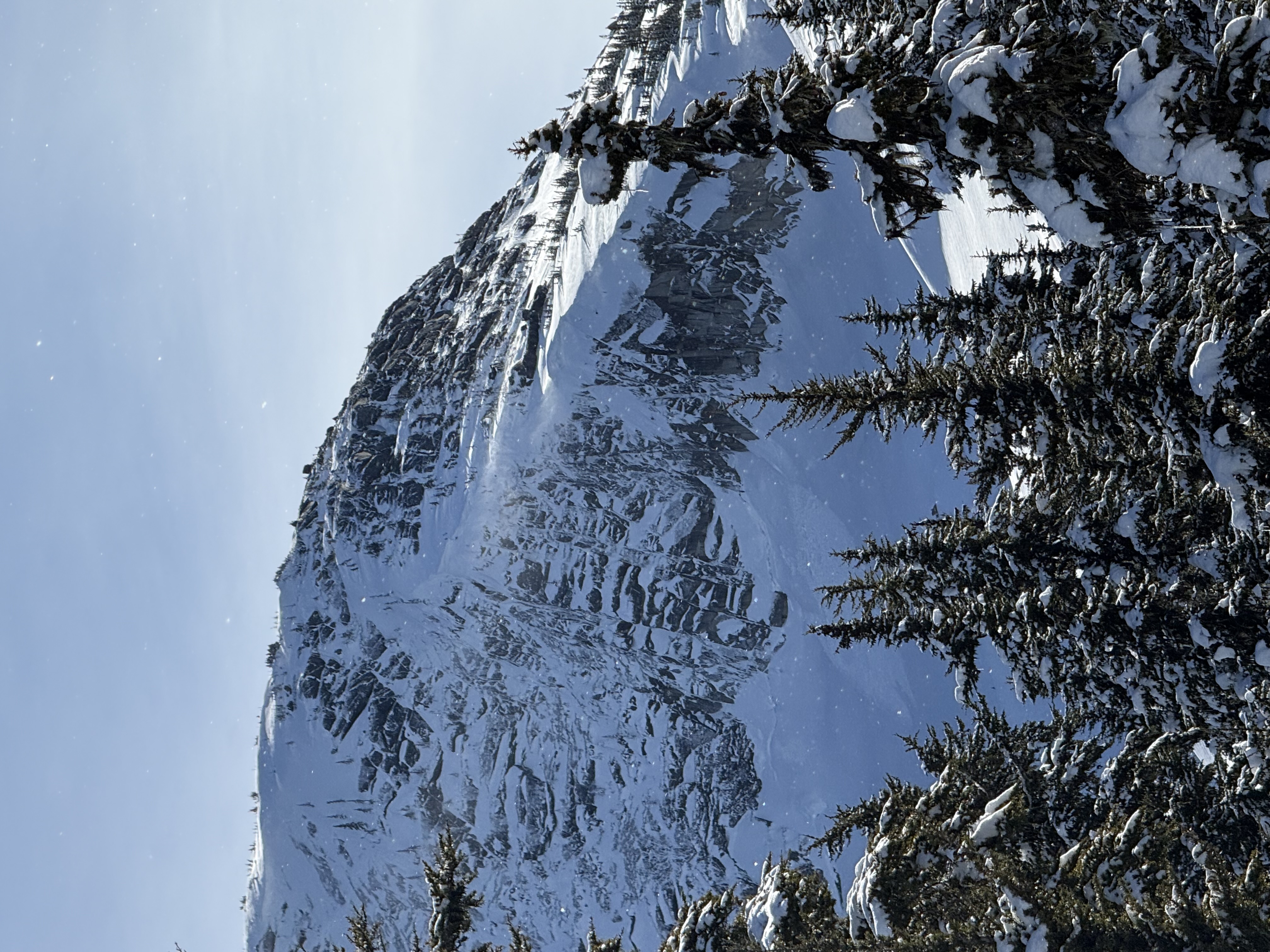 Observation photo