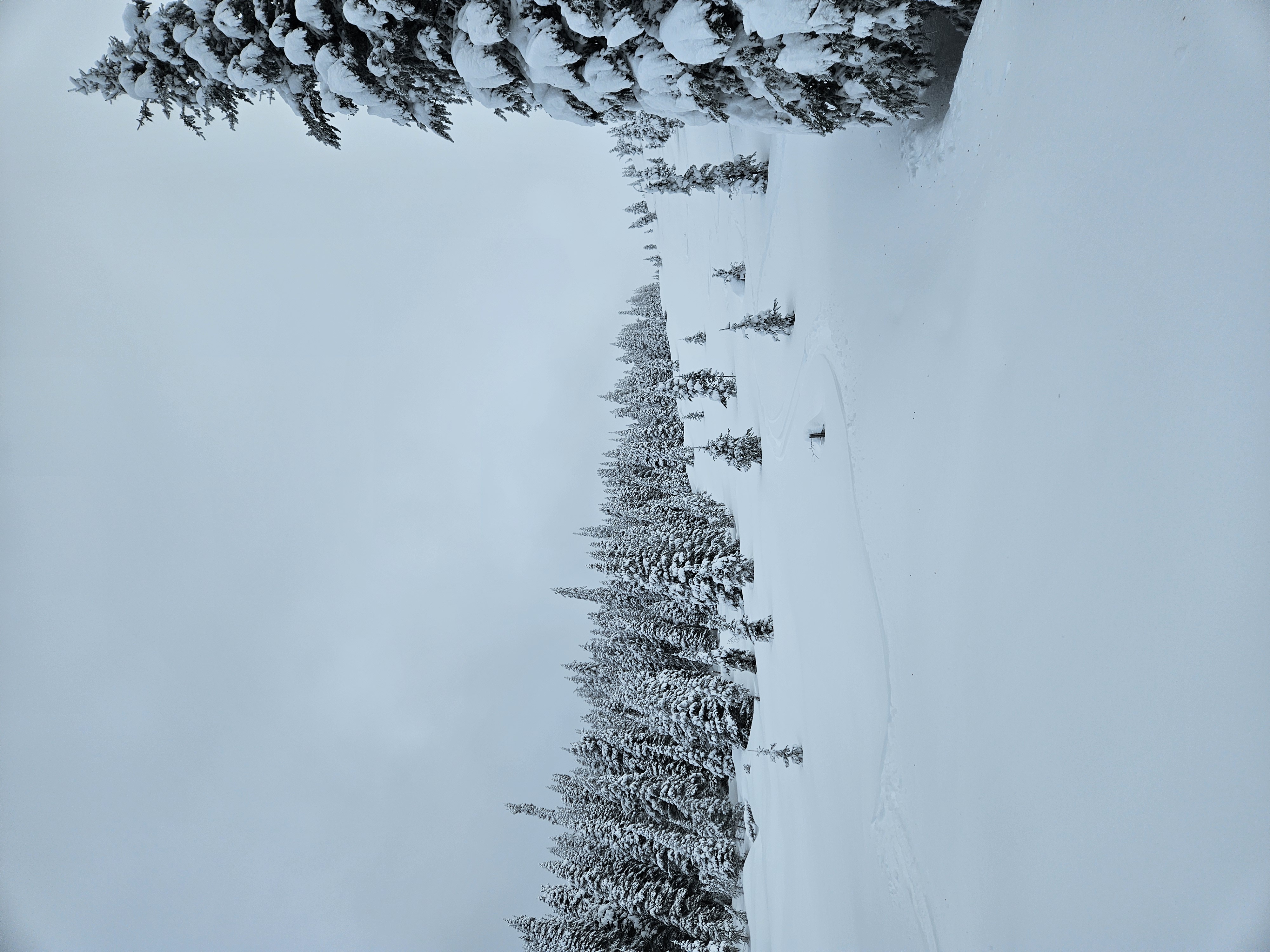 Observation photo