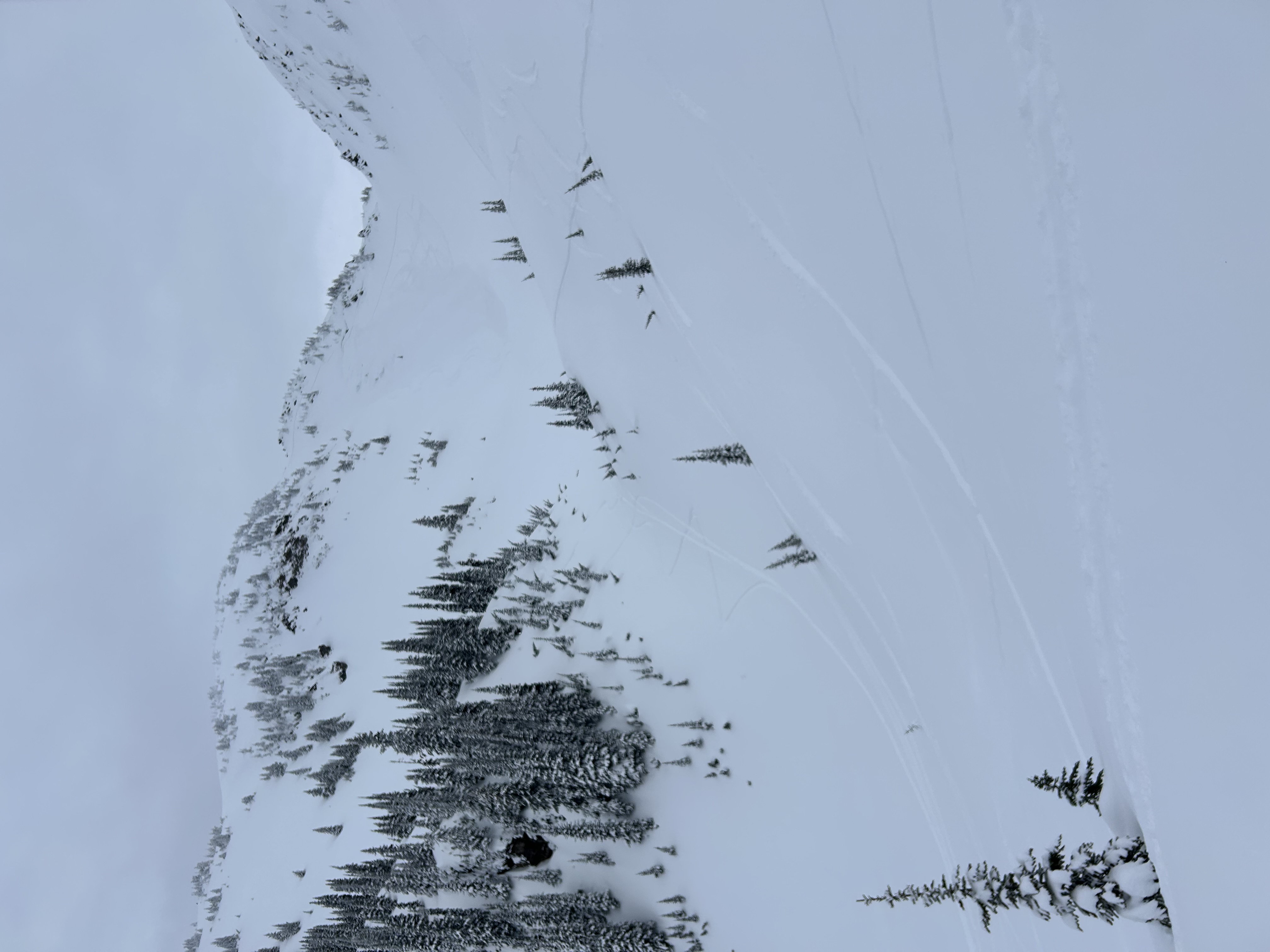 Observation photo