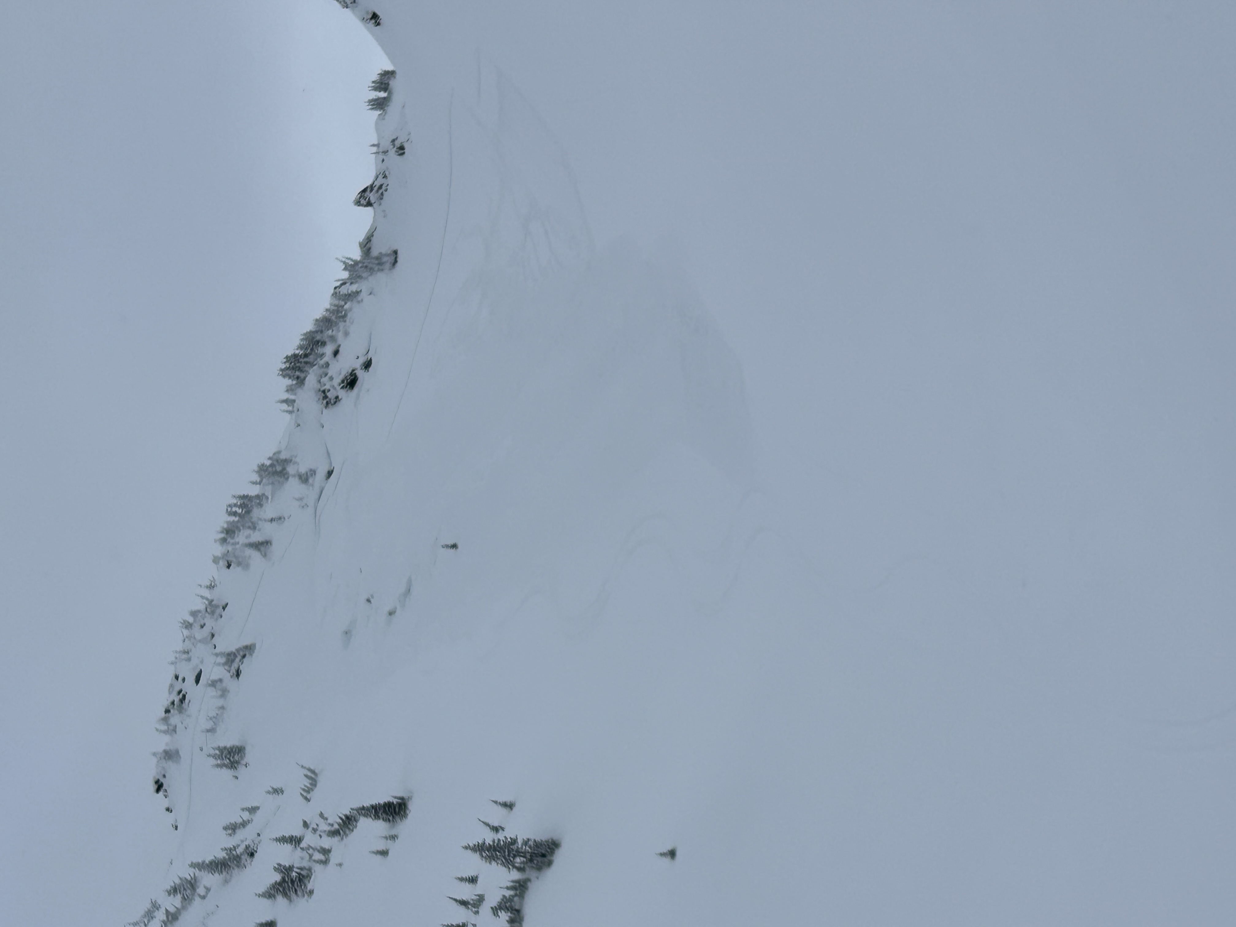 Observation photo