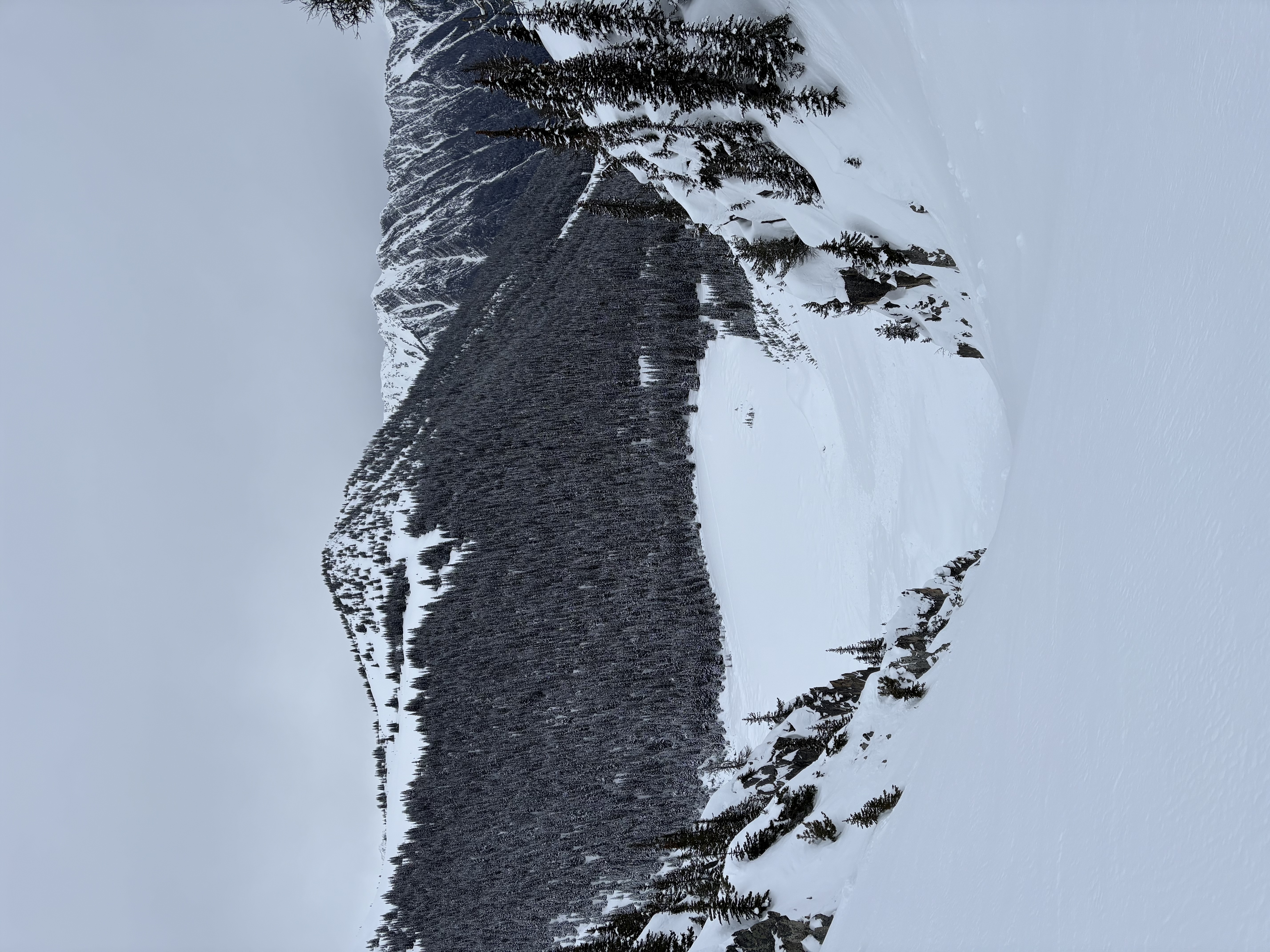 Observation photo
