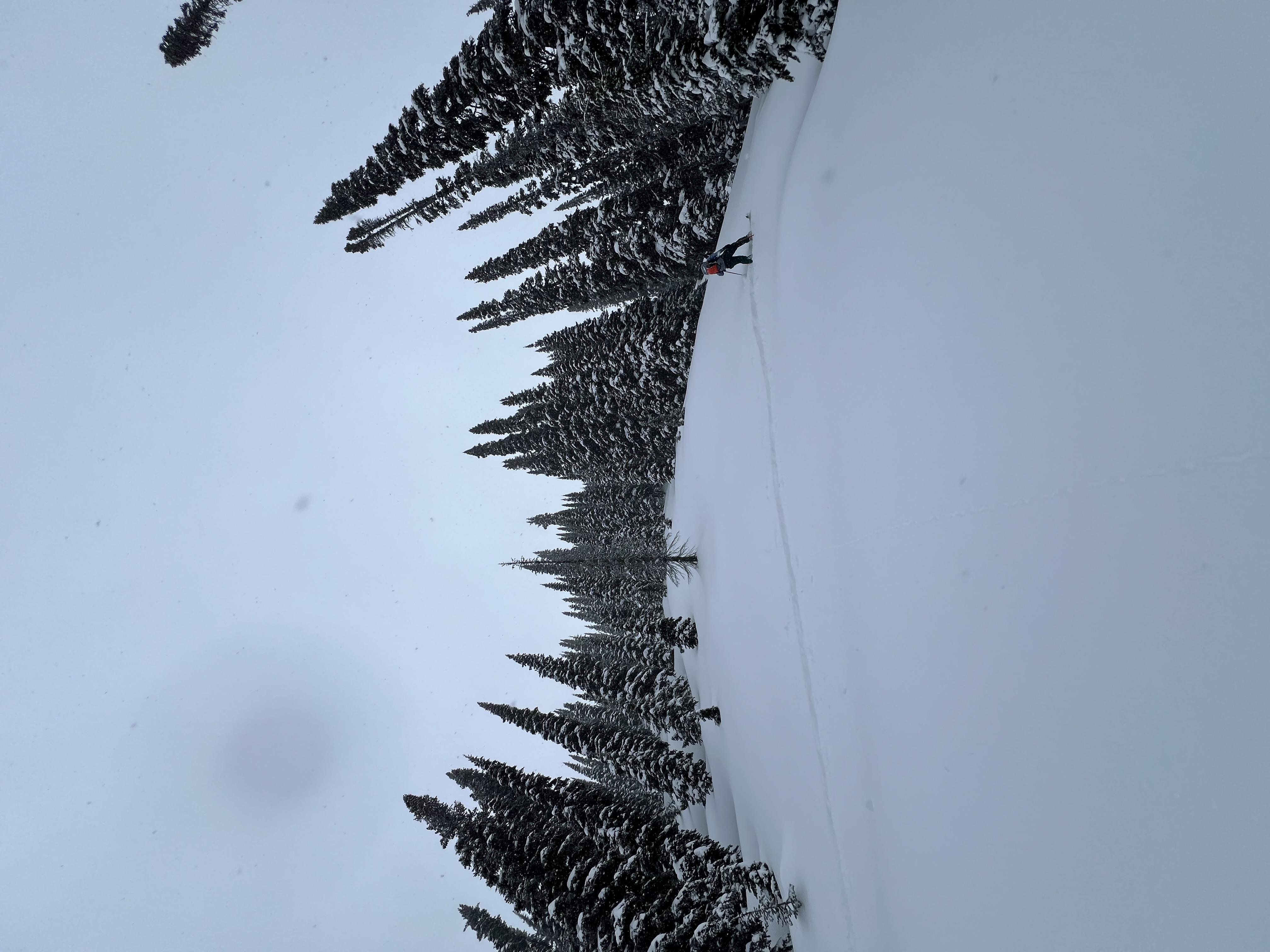 Observation photo