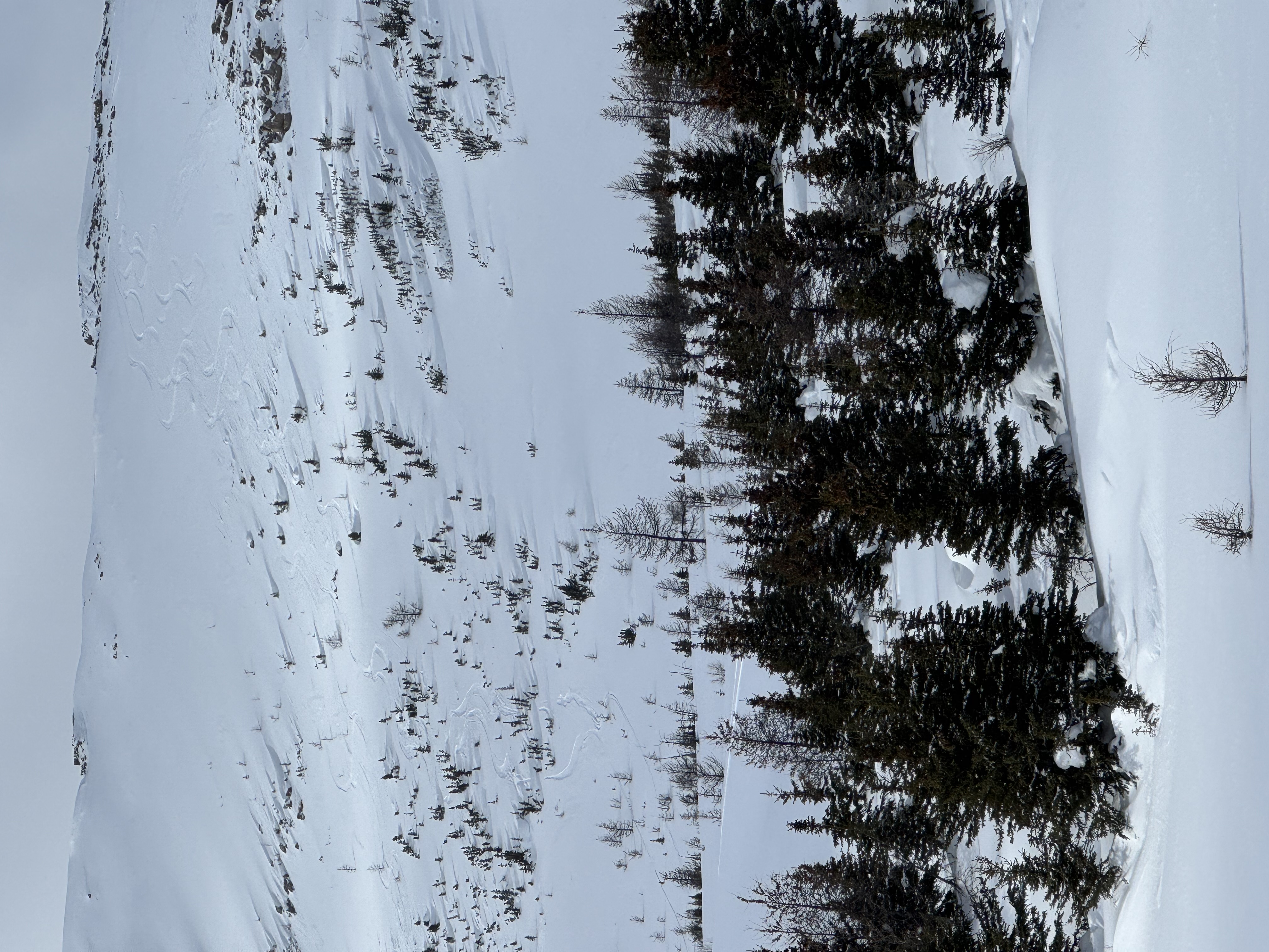 Observation photo