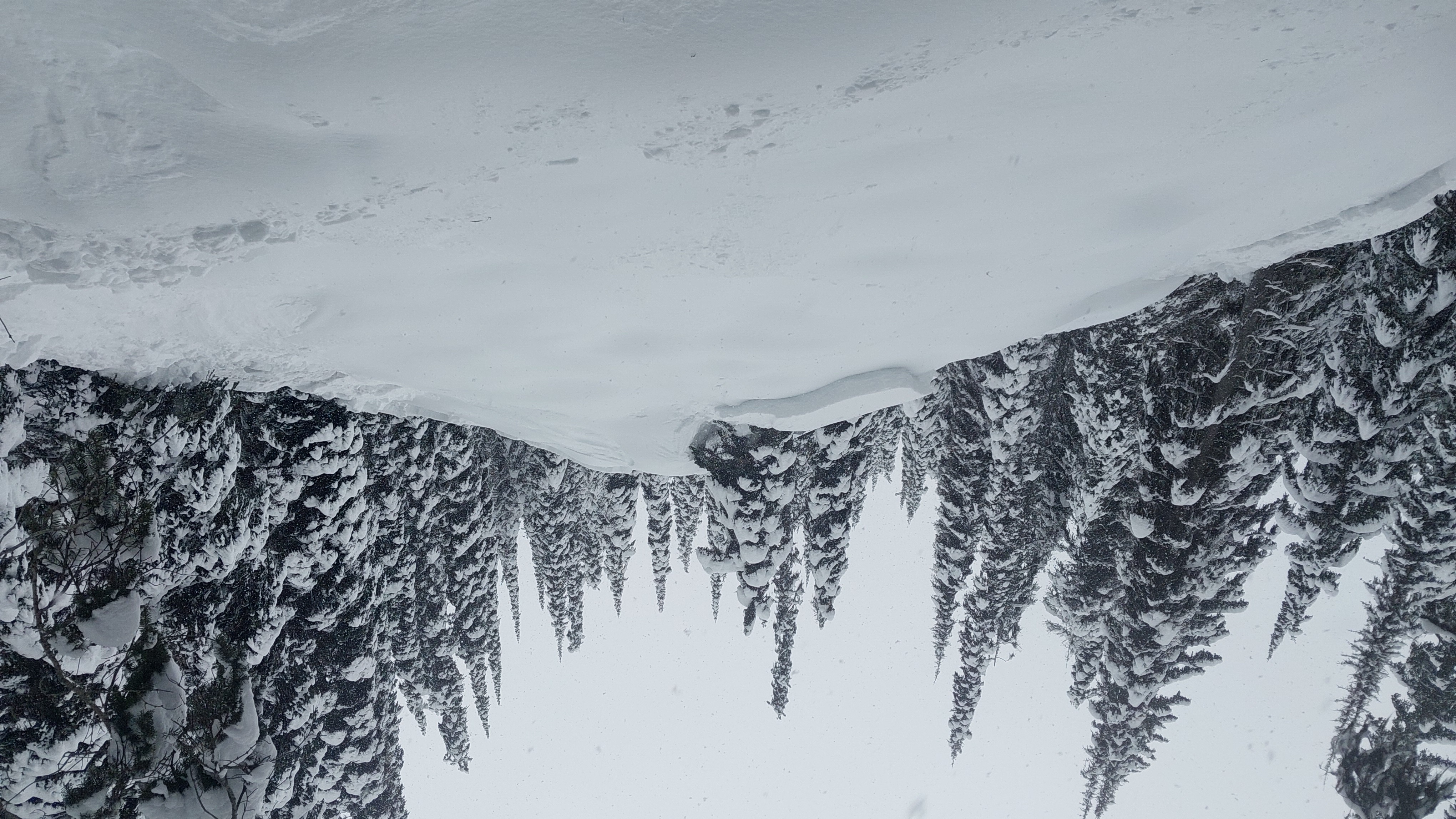 Observation photo
