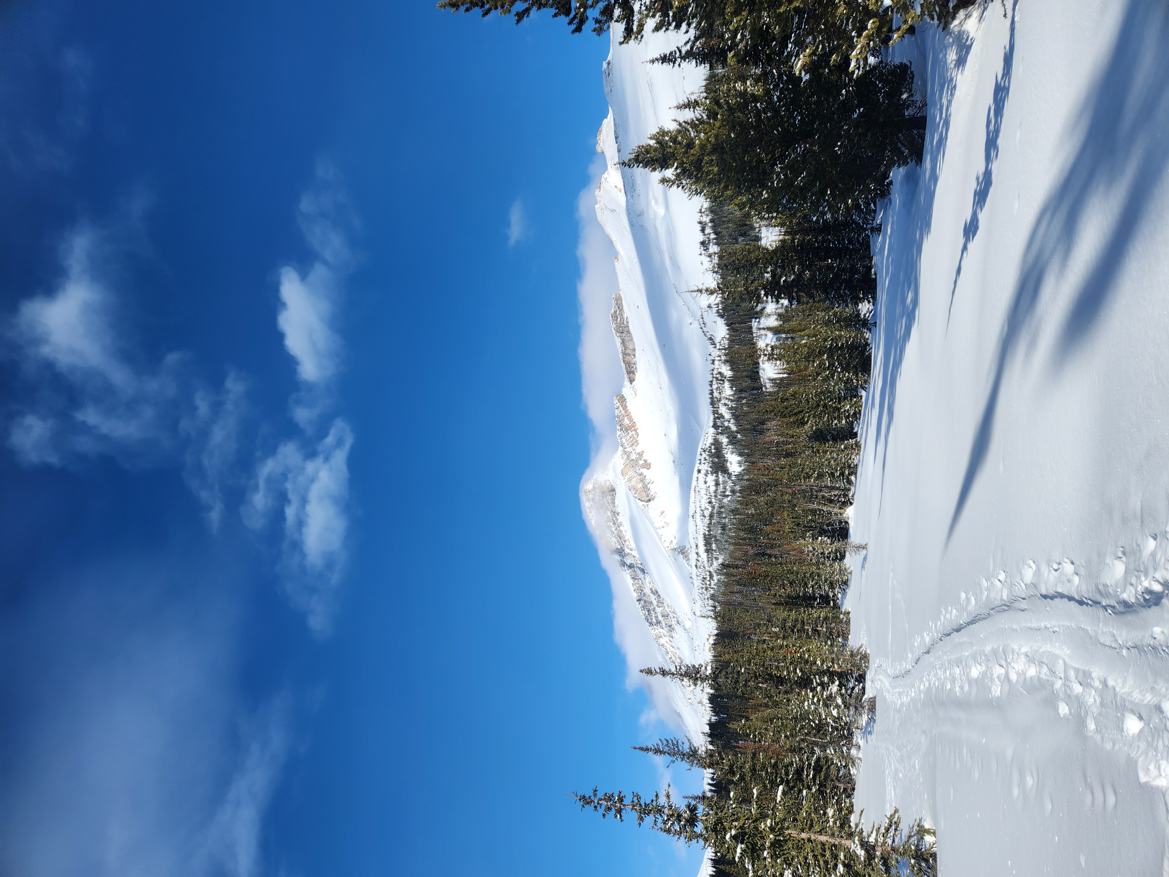 Observation photo