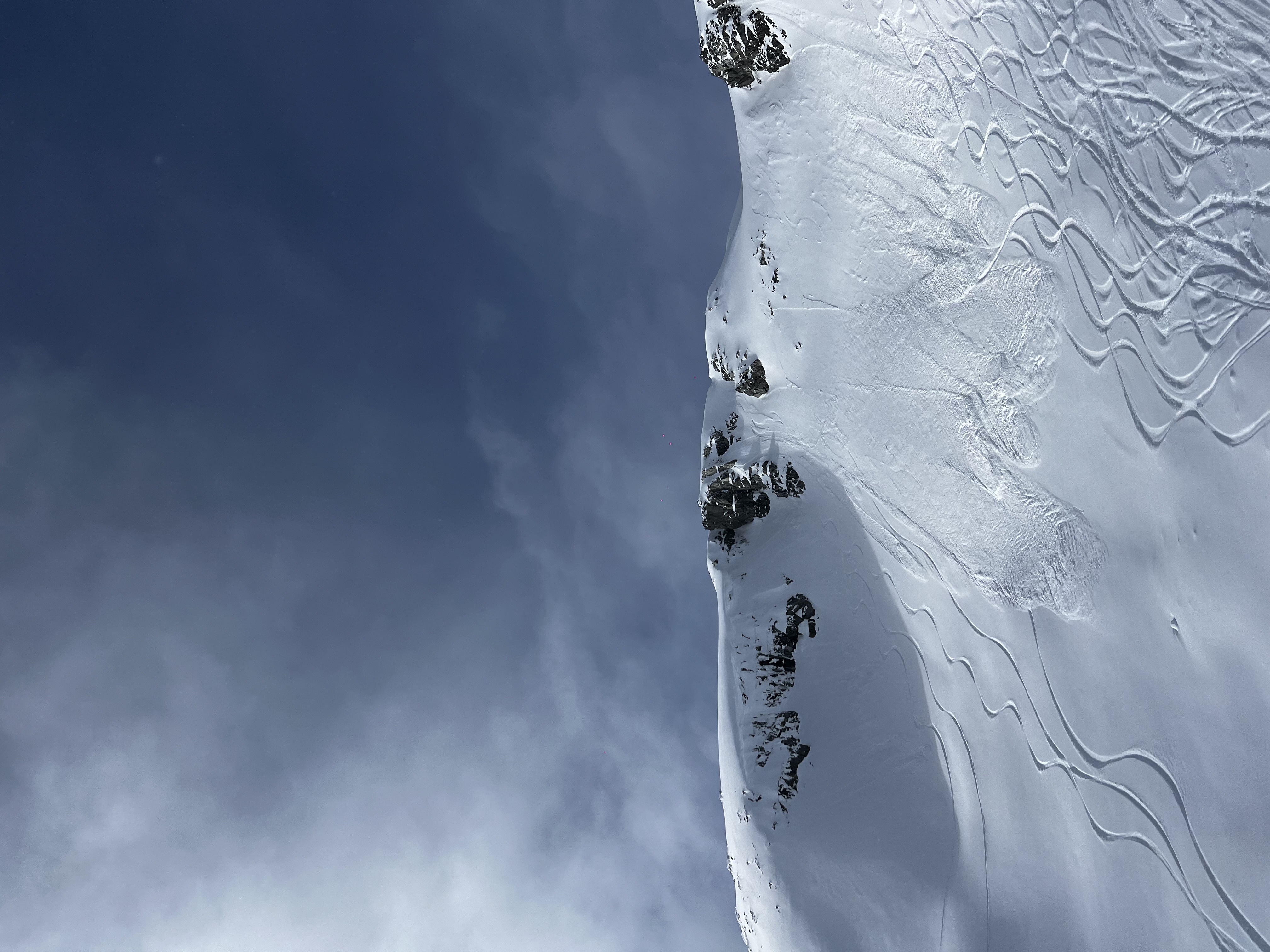 Observation photo