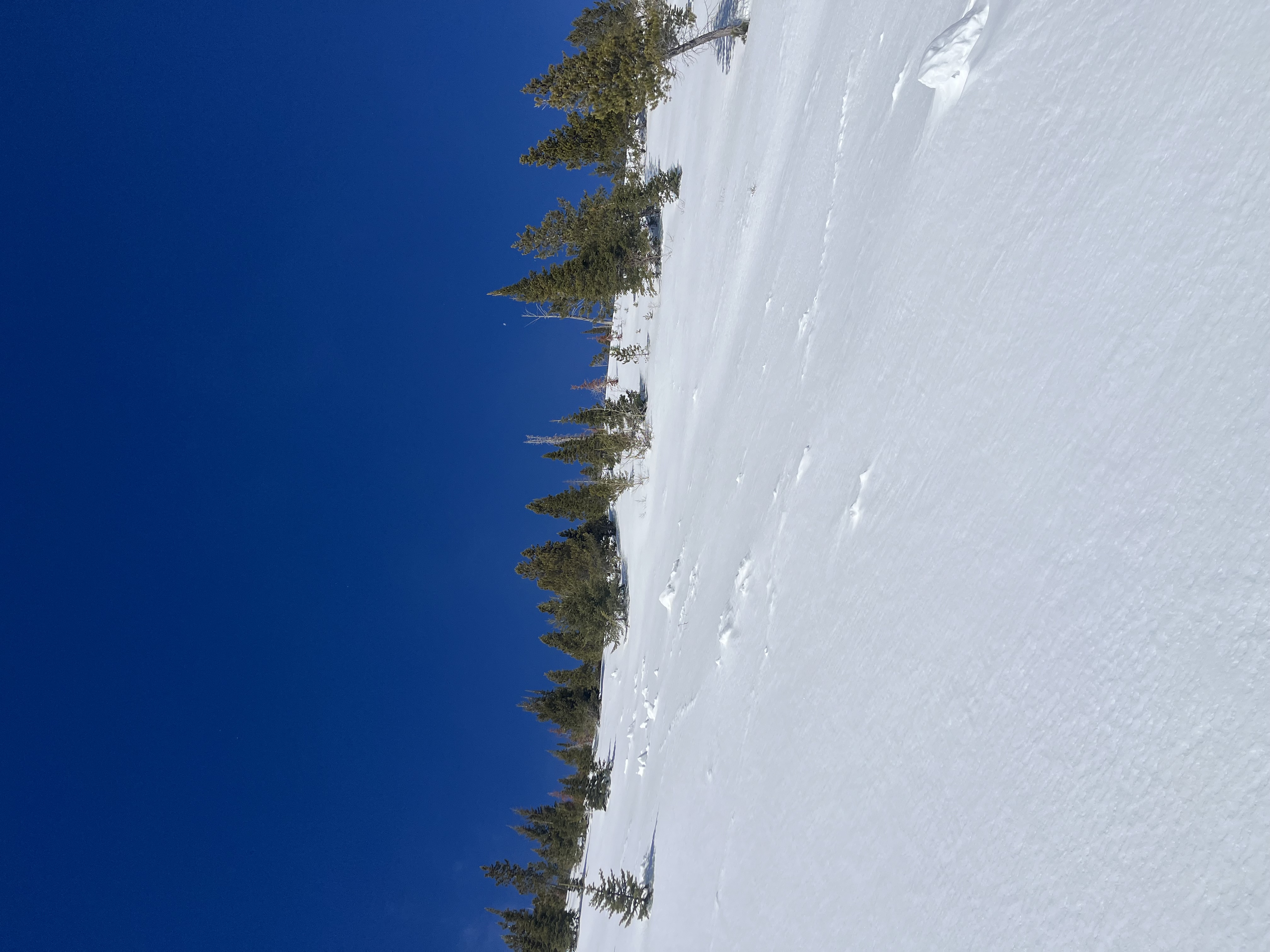 Observation photo