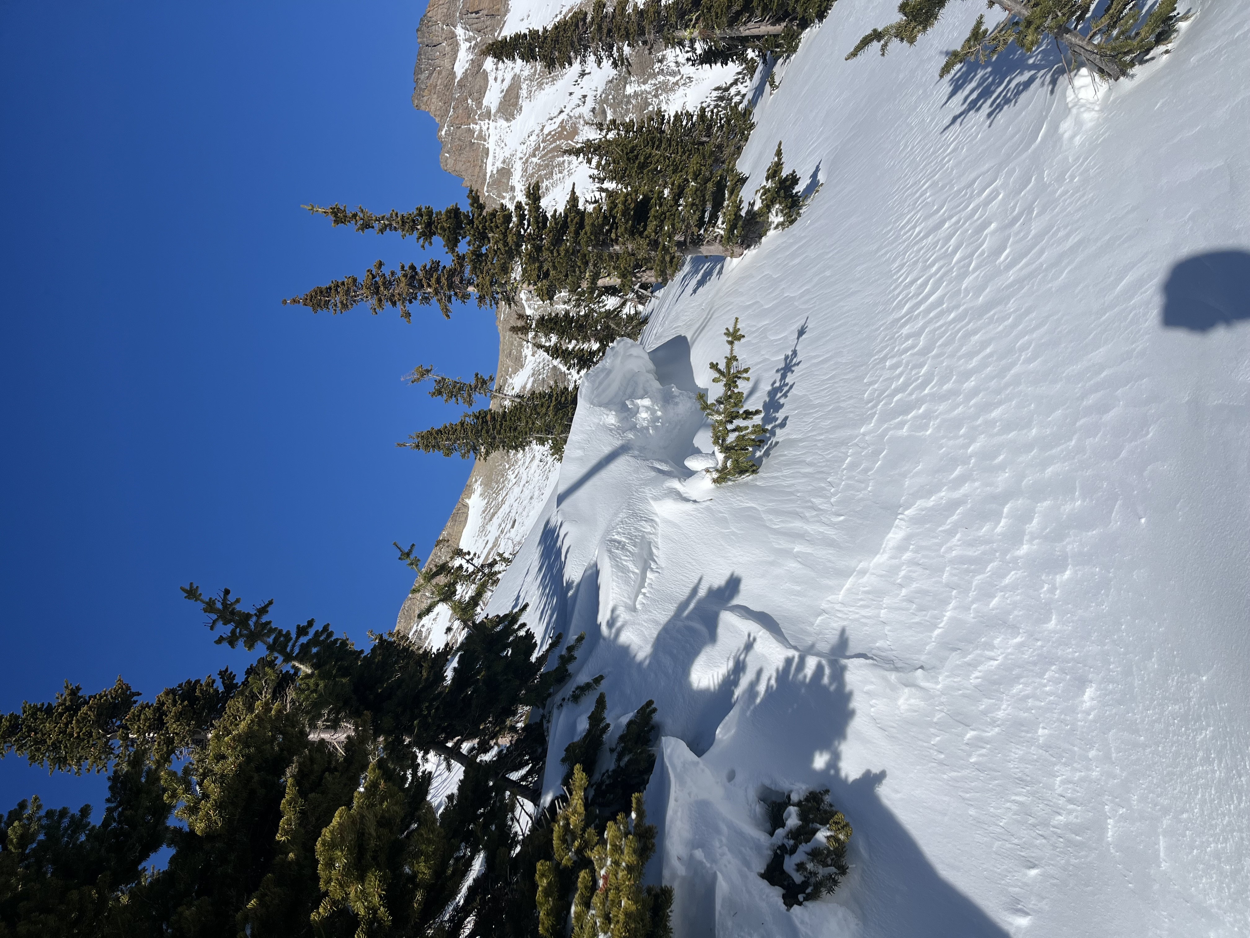 Observation photo