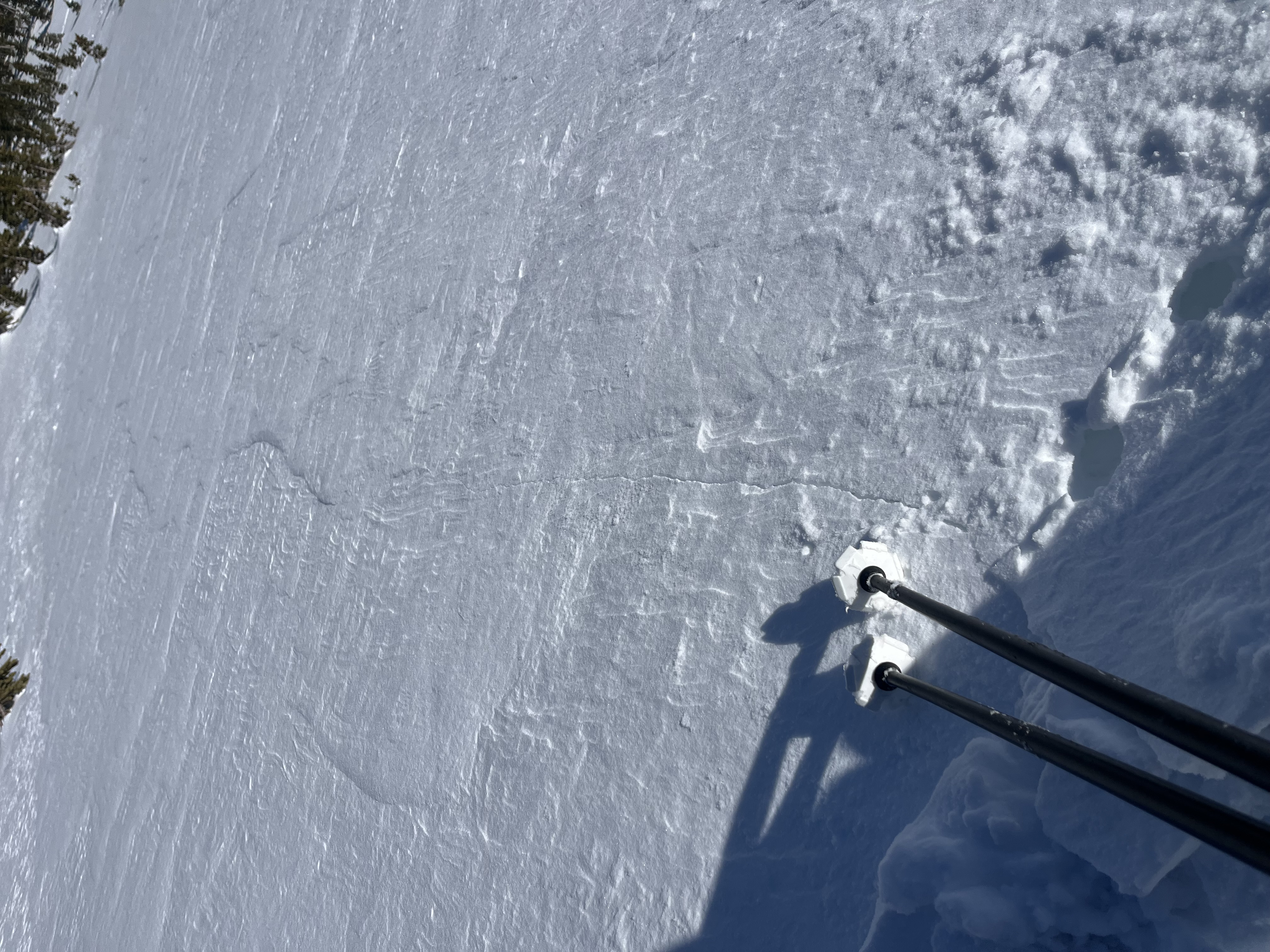 Observation photo
