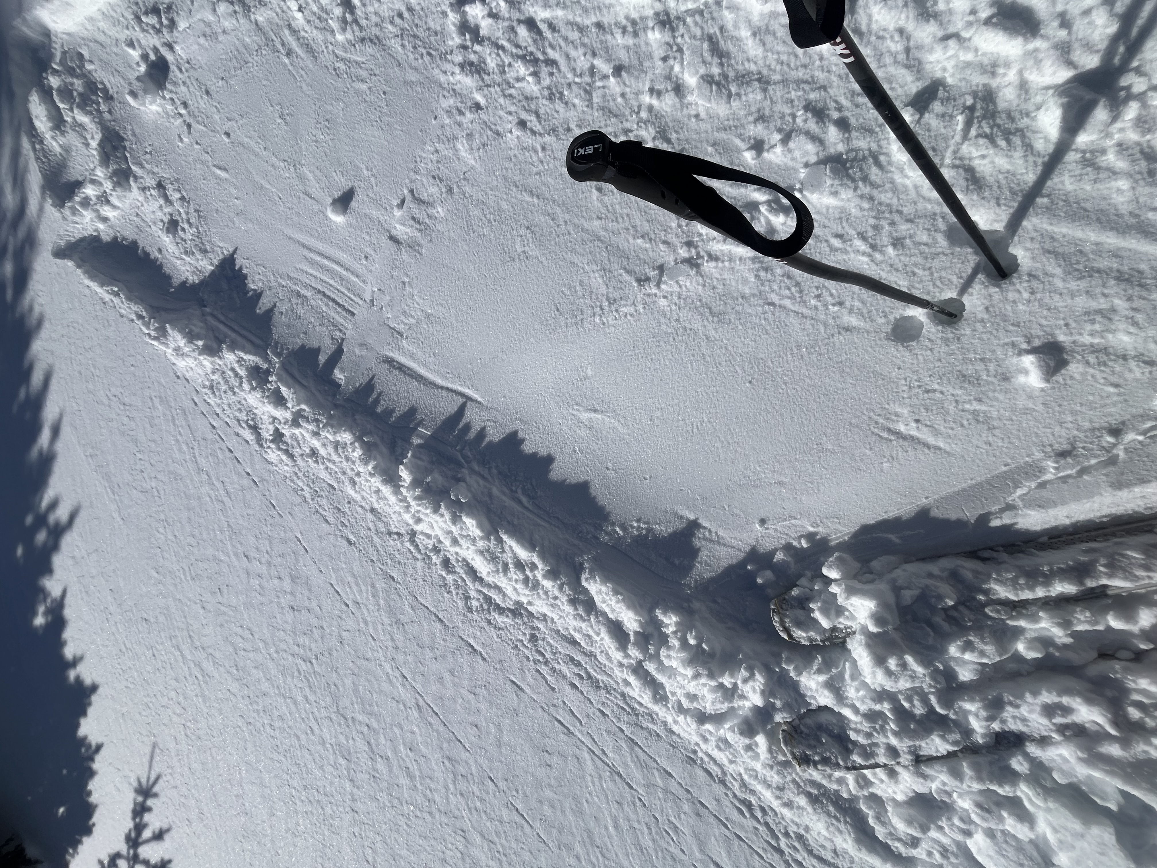 Observation photo