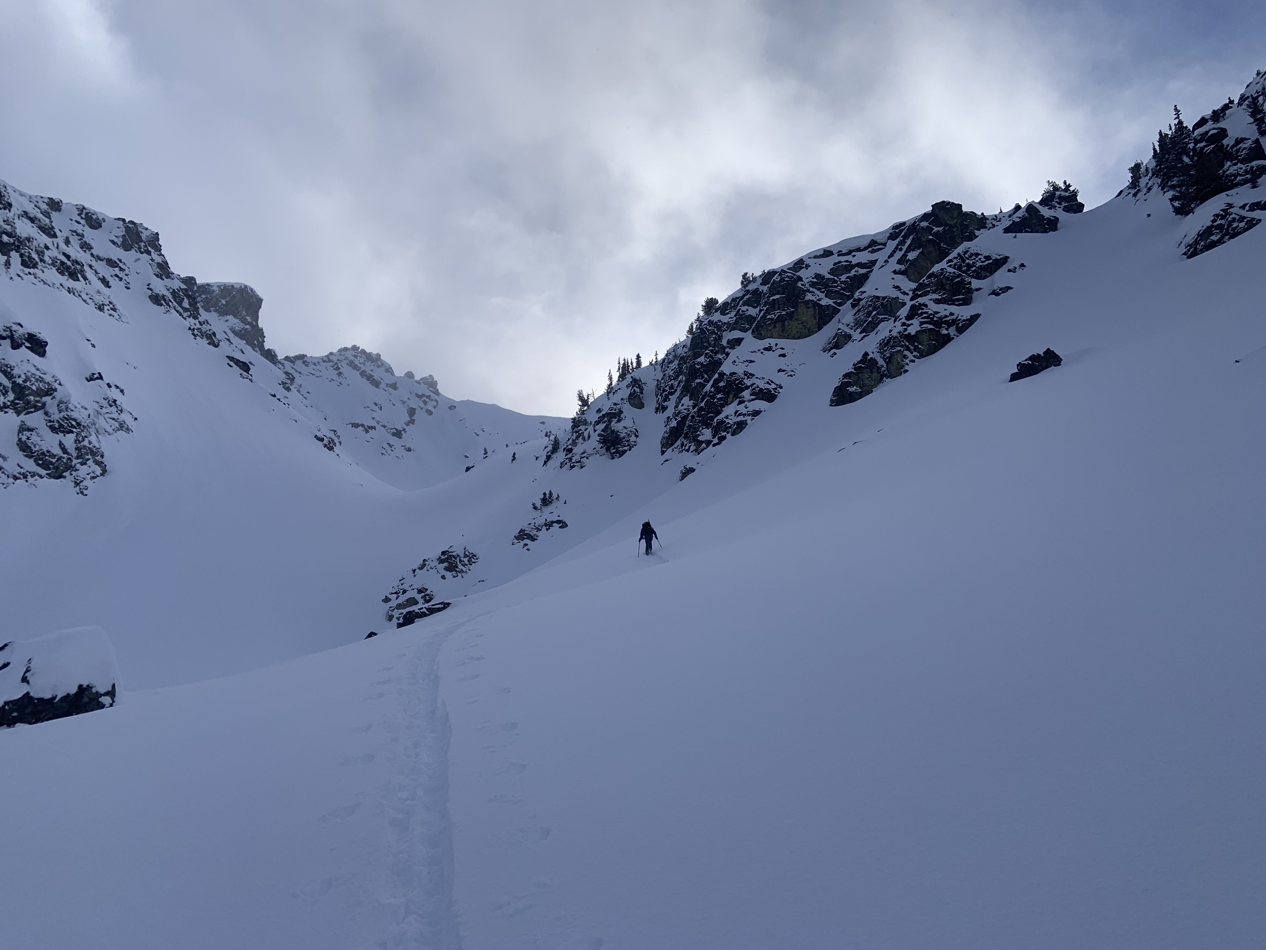 Observation photo