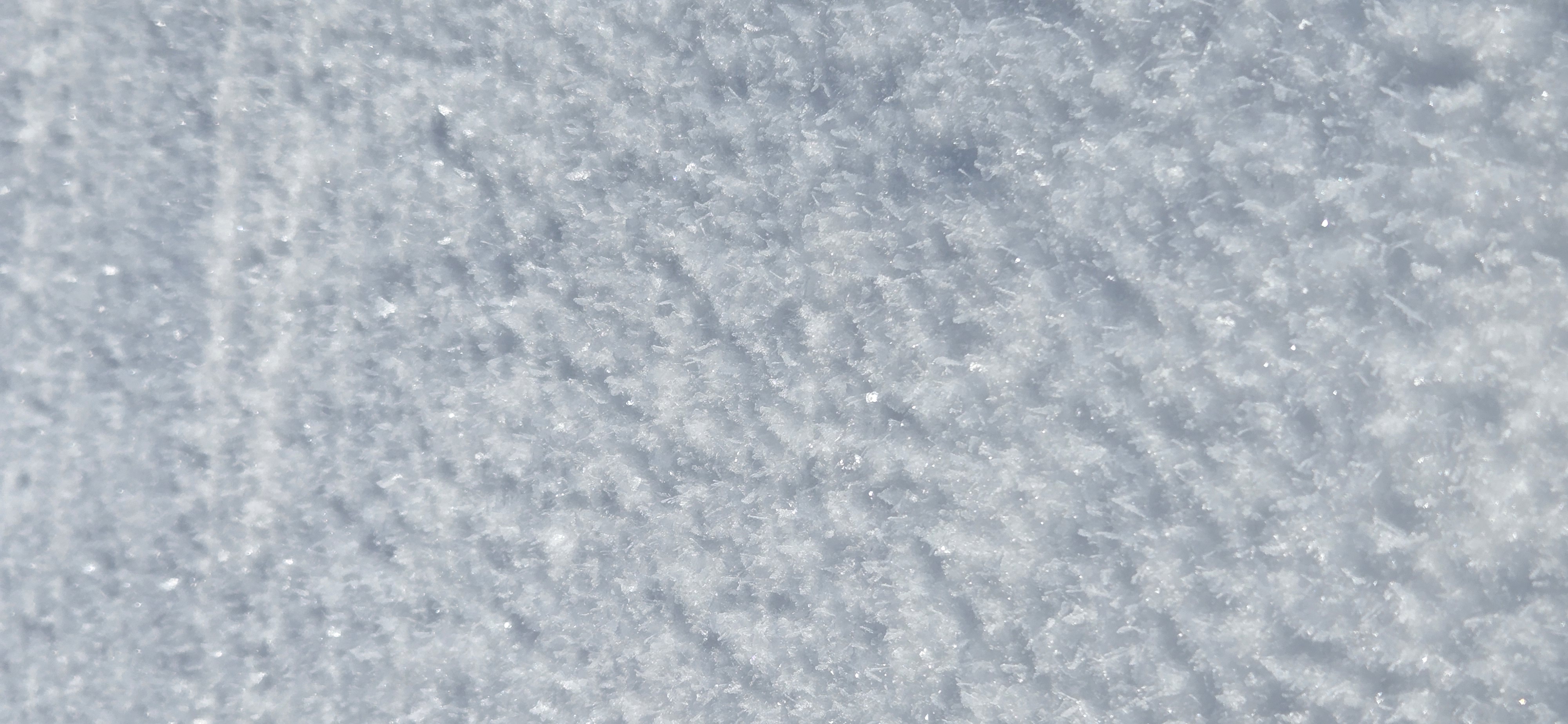 Observation photo