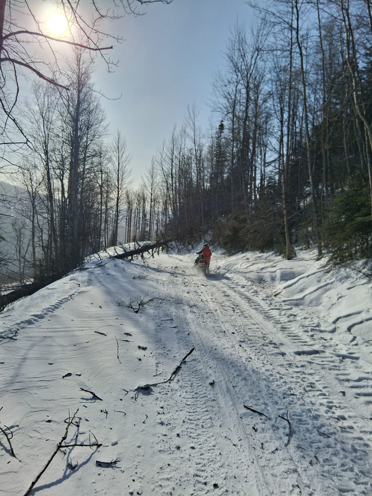 Observation photo