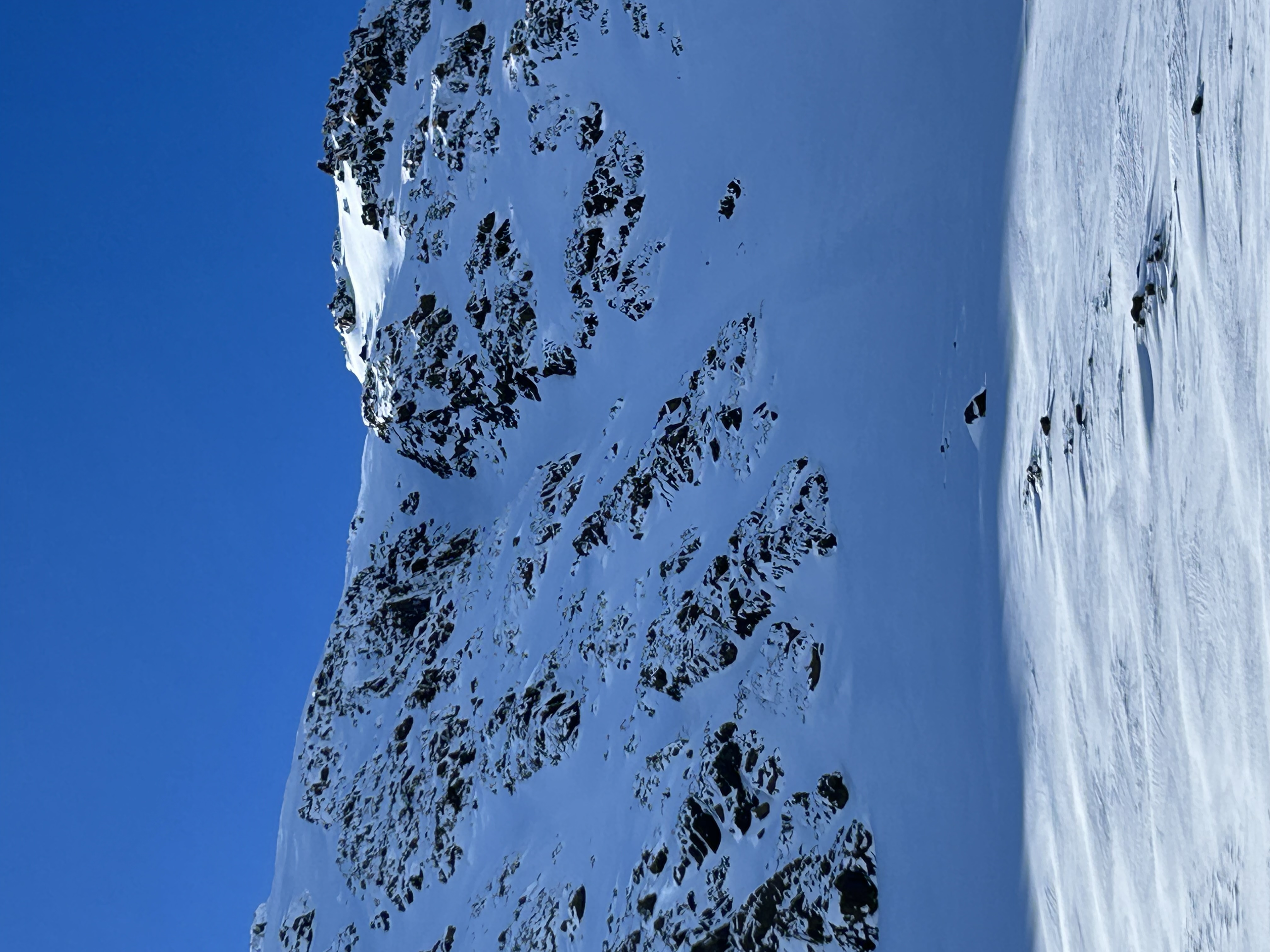 Observation photo