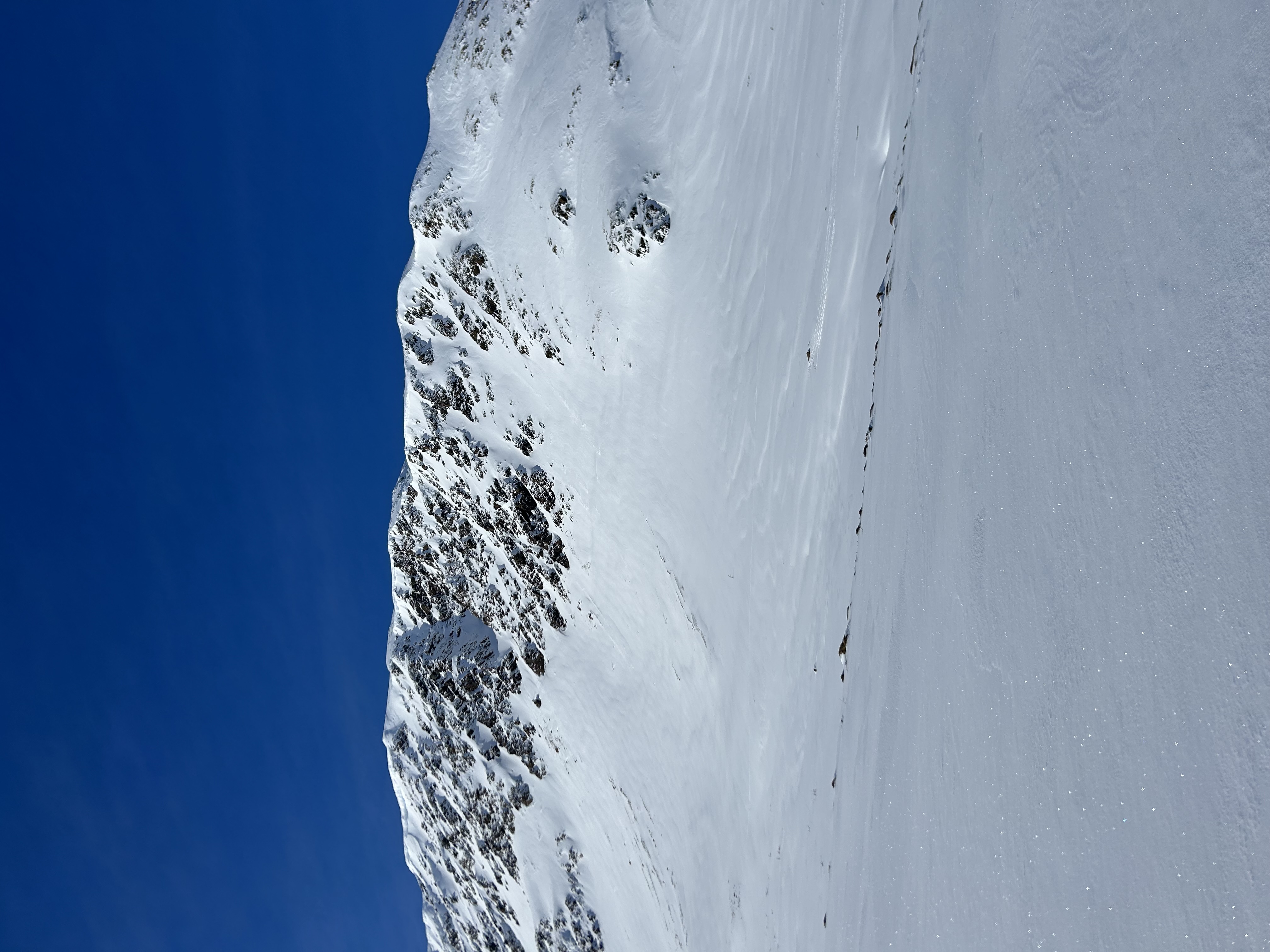 Observation photo