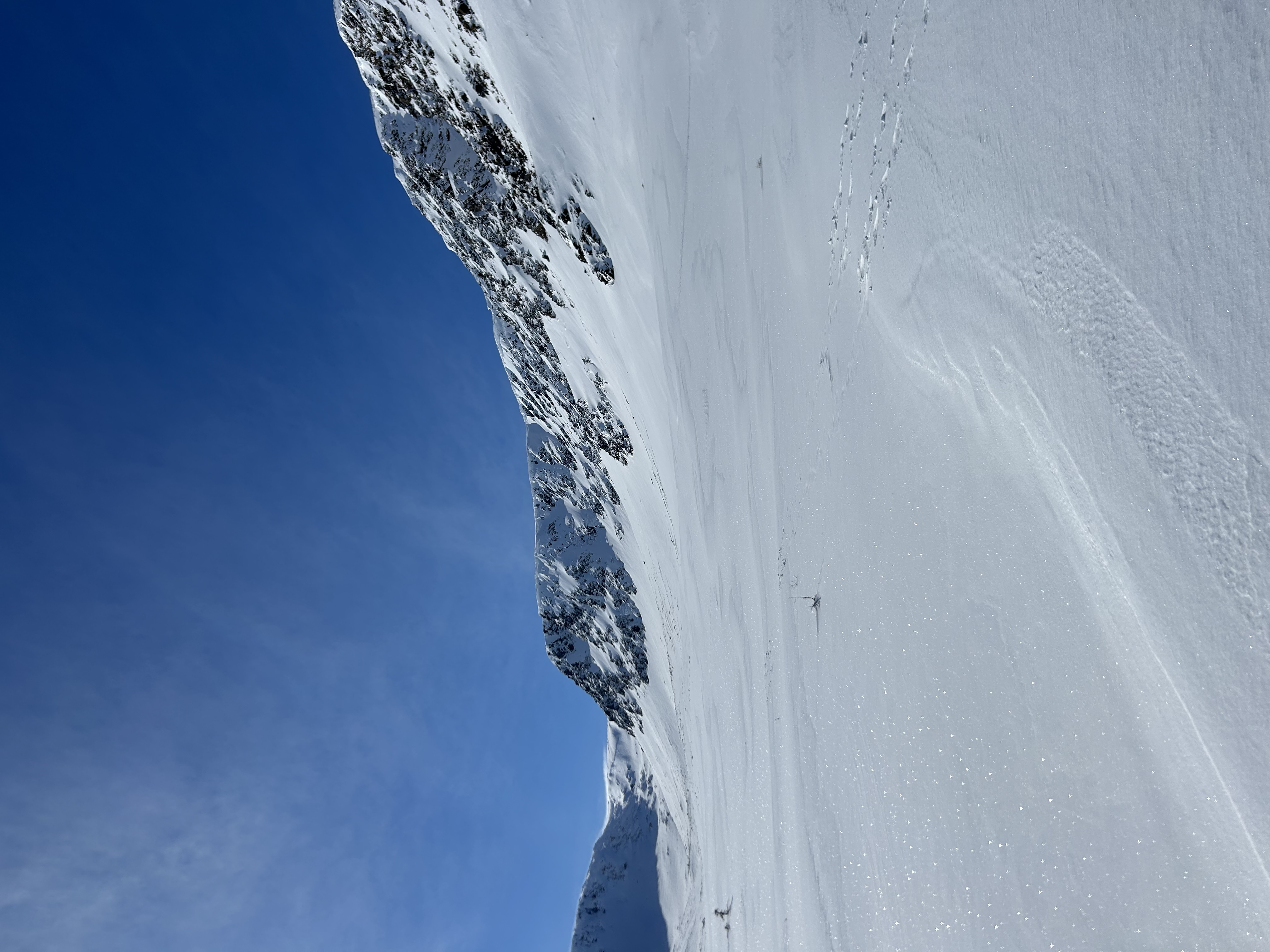 Observation photo